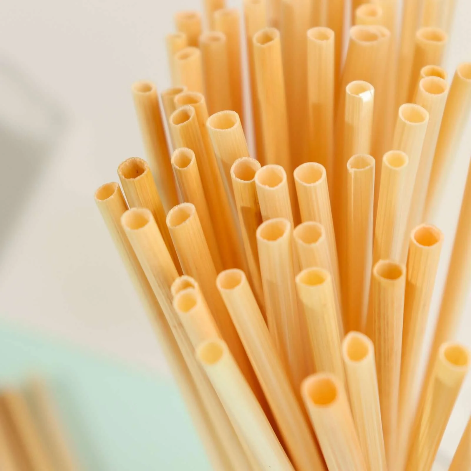 100-Pack Compostable Straws 6" Plant Based 100% Plastic Free - Eco-Friendly Wheat Drinking Straws - Image 13