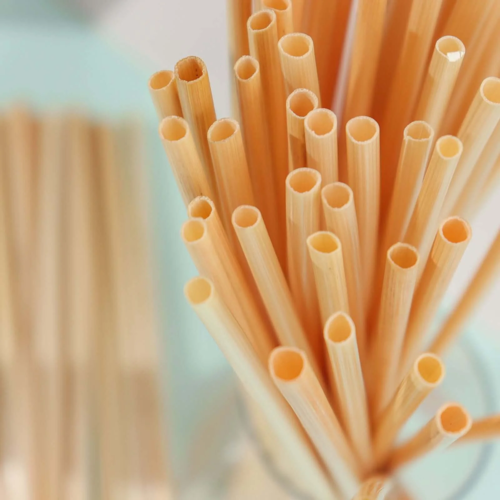 100-Pack Compostable Straws 9" Plant Based 100% Plastic Free - Eco-Friendly Wheat Drinking Straws - Image 2