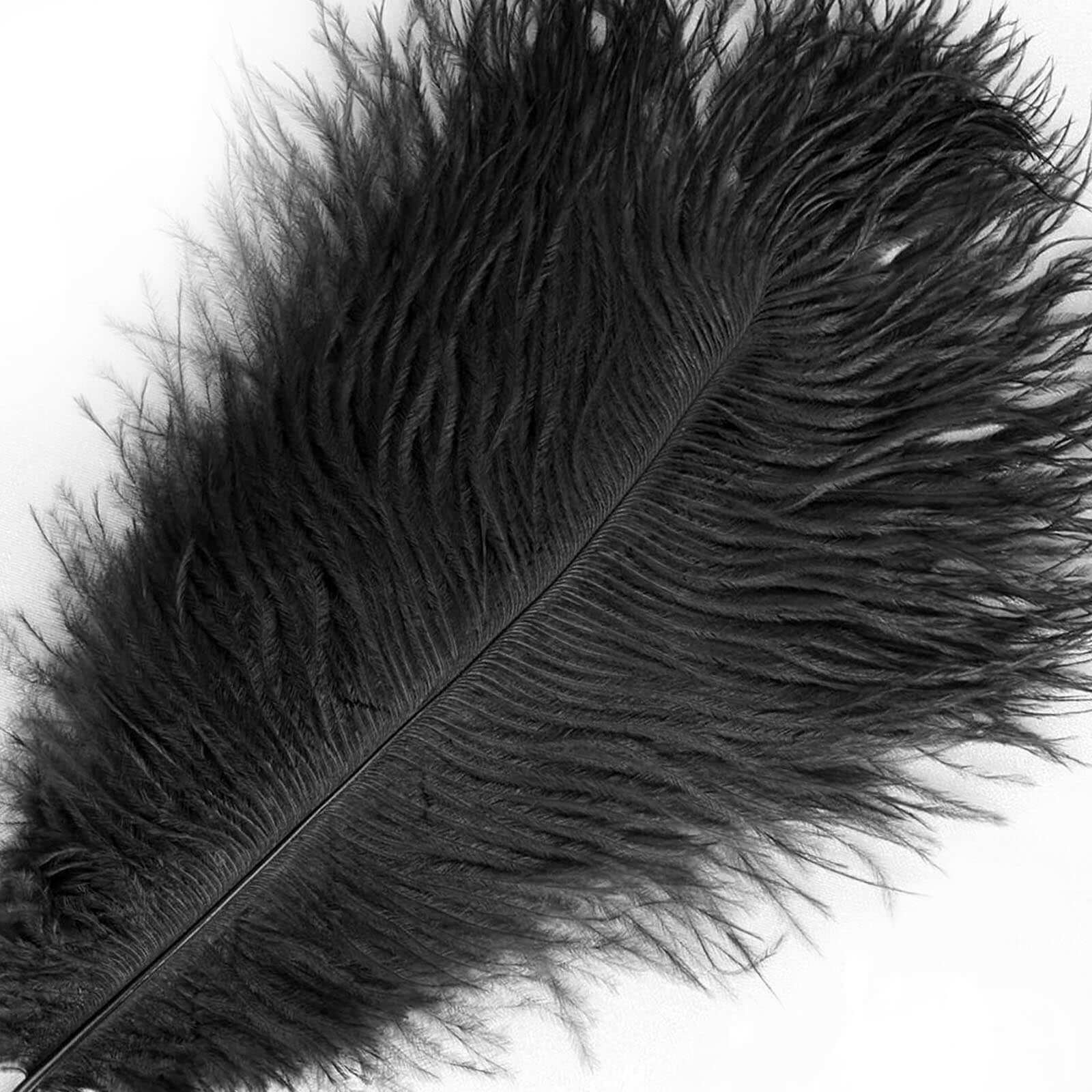 12 Pack Black Natural Plume Real Ostrich Feathers, DIY Centerpiece Fillers 13"-15" - Image 8