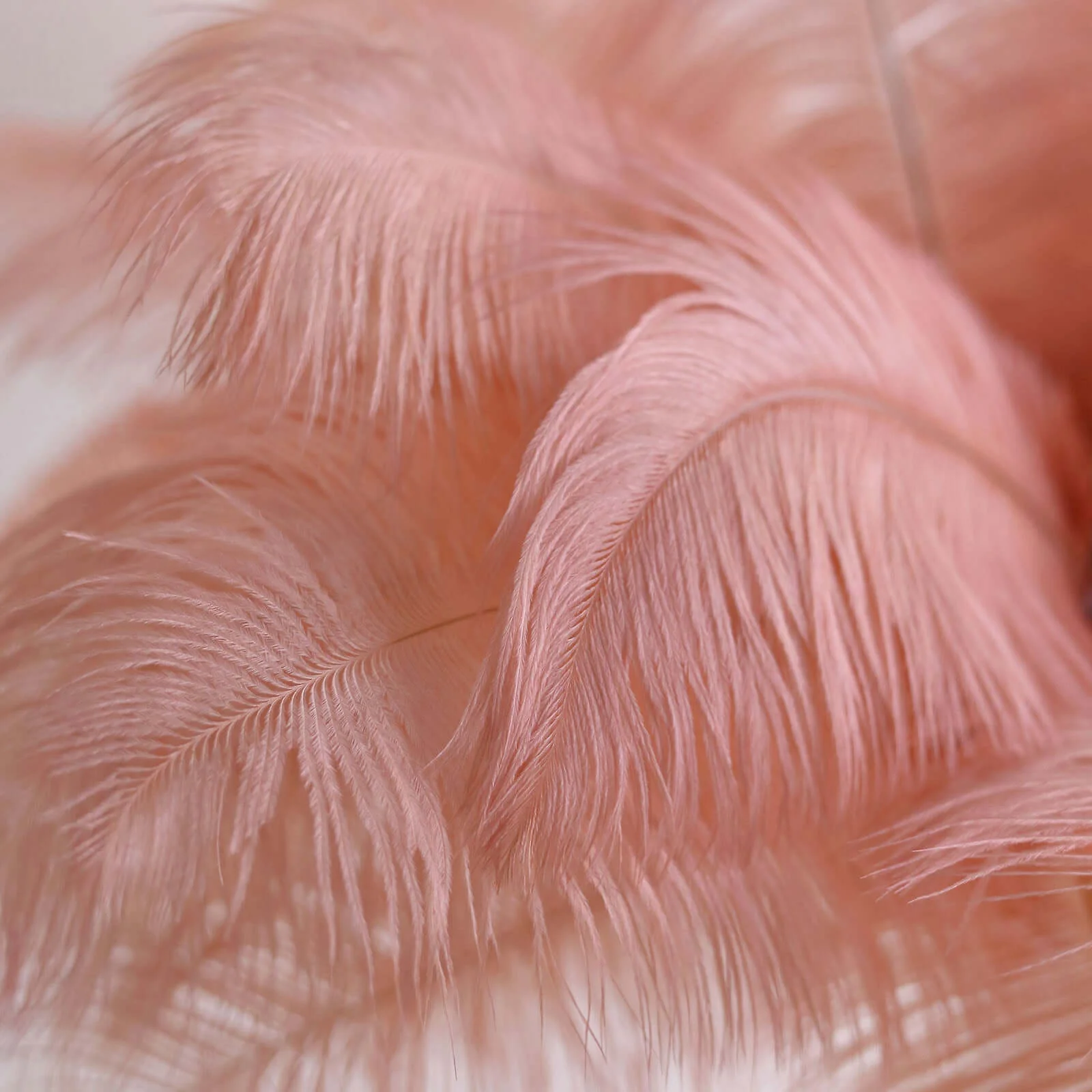 12 Pack Mauve Natural Plume Real Ostrich Feathers, DIY Centerpiece Fillers 13"-15" - Image 11
