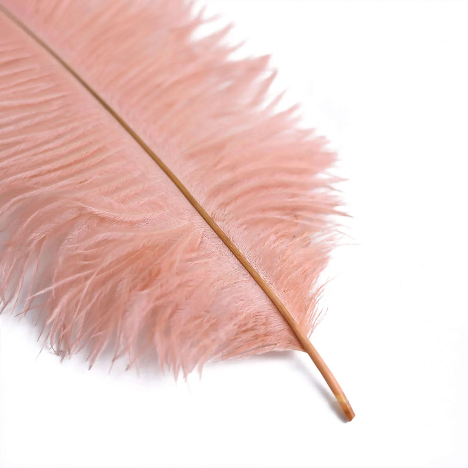 12 Pack Mauve Natural Plume Real Ostrich Feathers, DIY Centerpiece Fillers 13"-15" - Image 12