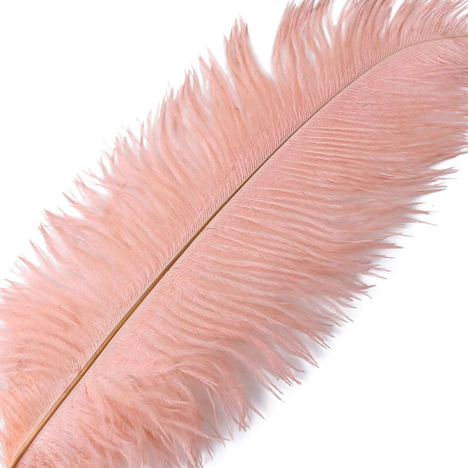 12 Pack Mauve Natural Plume Real Ostrich Feathers, DIY Centerpiece Fillers 13"-15" - Image 13