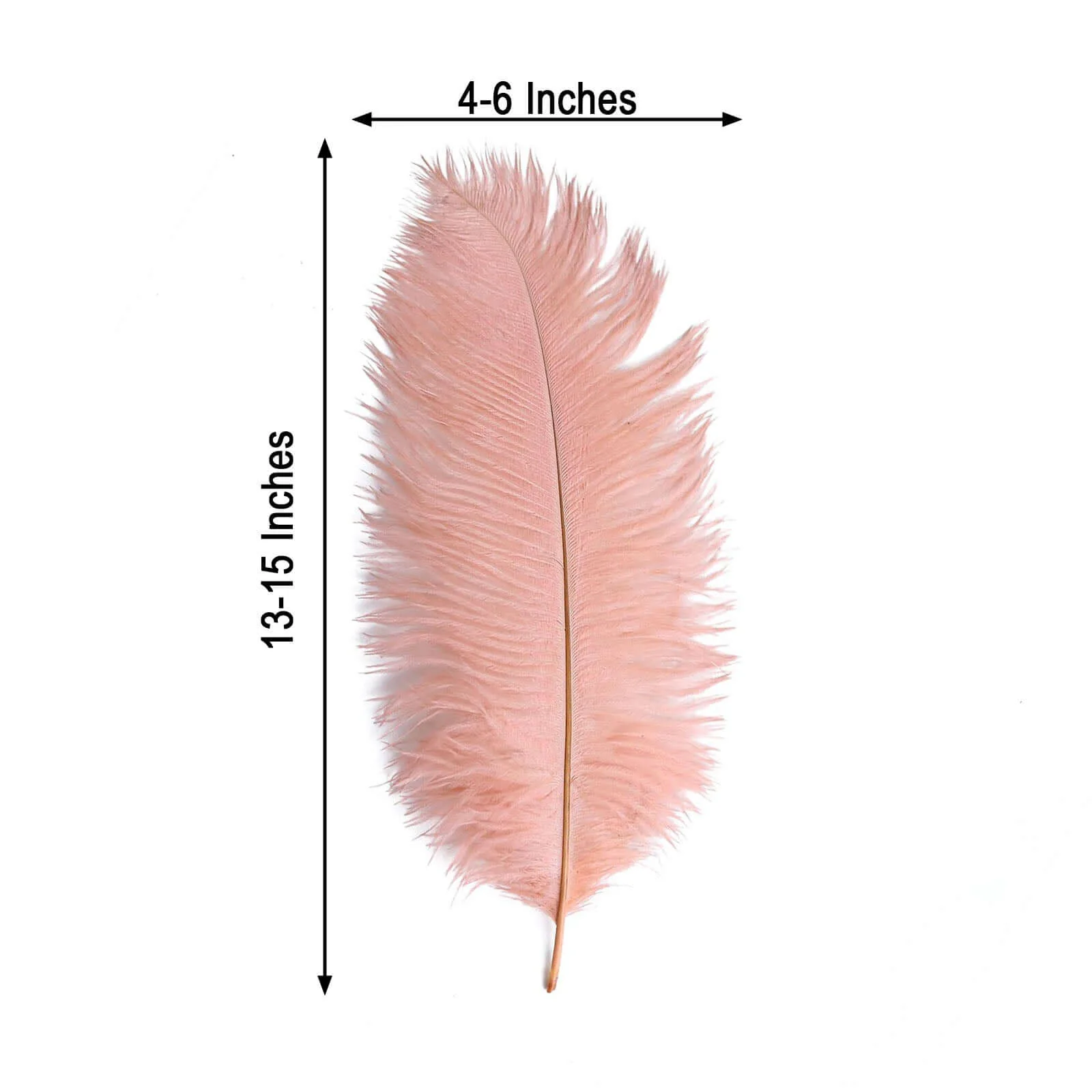 12 Pack Mauve Natural Plume Real Ostrich Feathers, DIY Centerpiece Fillers 13"-15" - Image 3