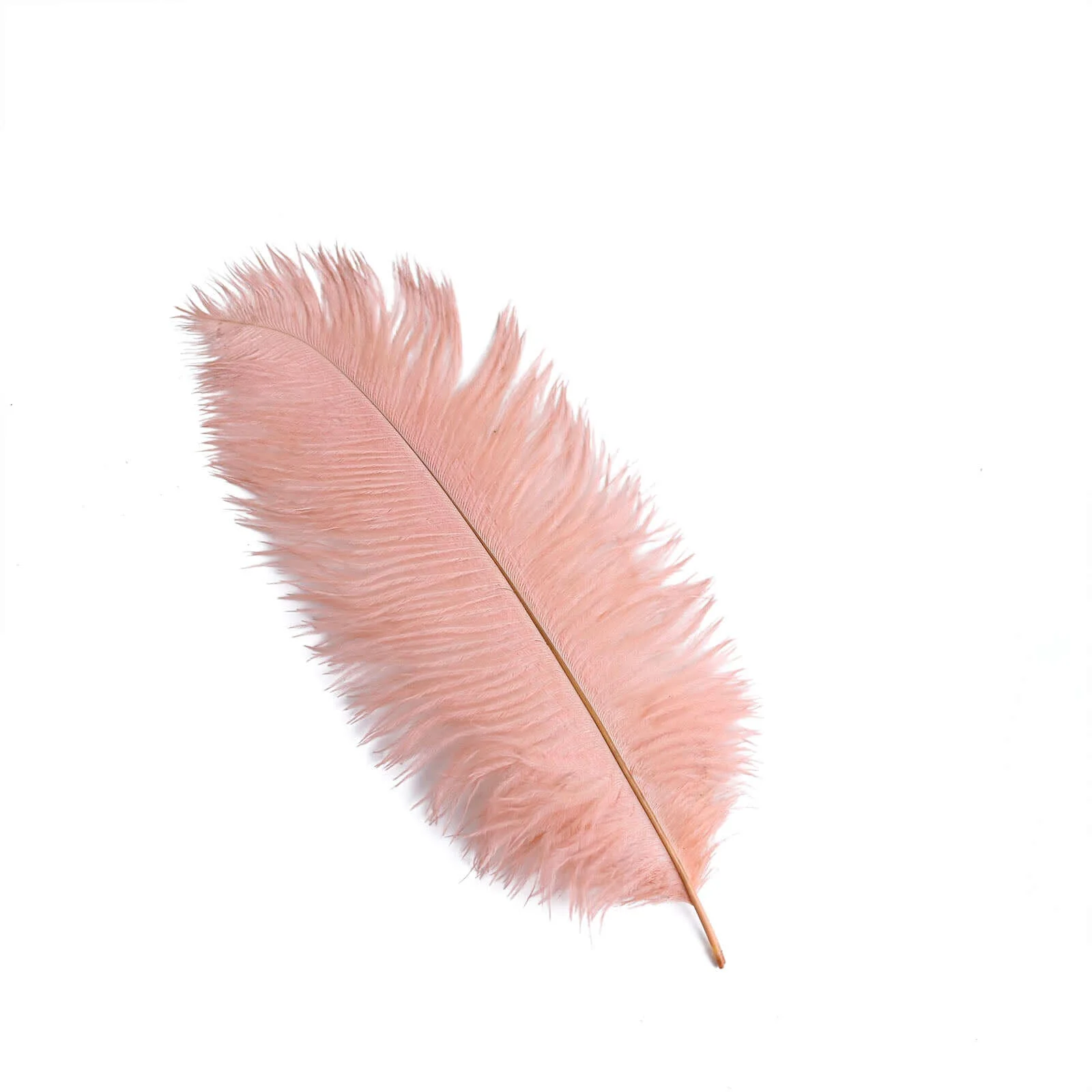 12 Pack Mauve Natural Plume Real Ostrich Feathers, DIY Centerpiece Fillers 13"-15" - Image 6
