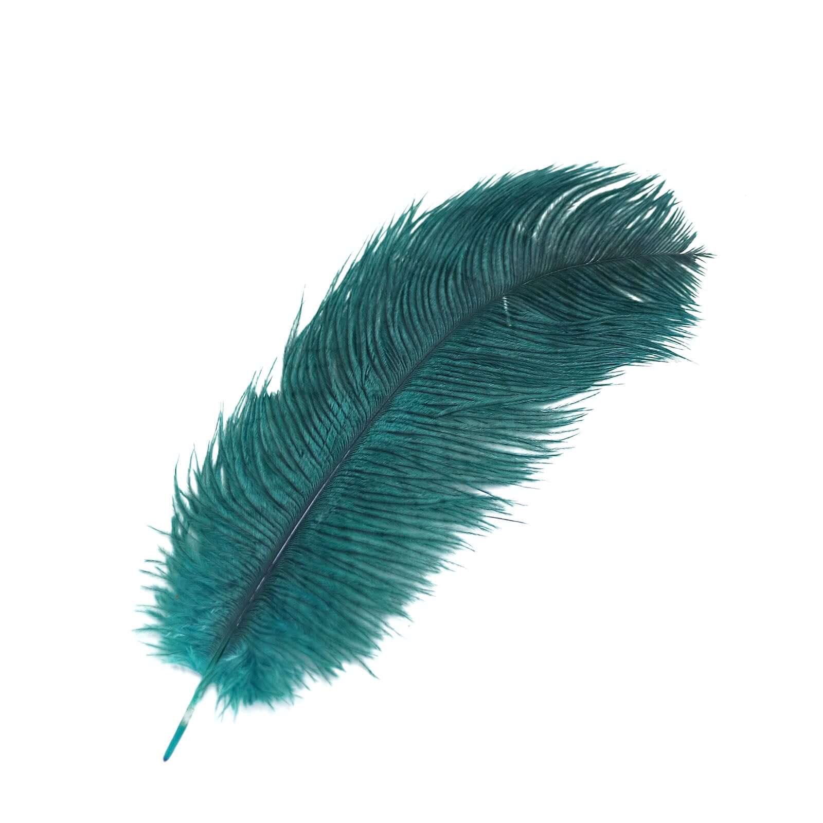 12 Pack Peacock Teal Natural Plume Real Ostrich Feathers, DIY Centerpiece Fillers 13"-15" - Image 6