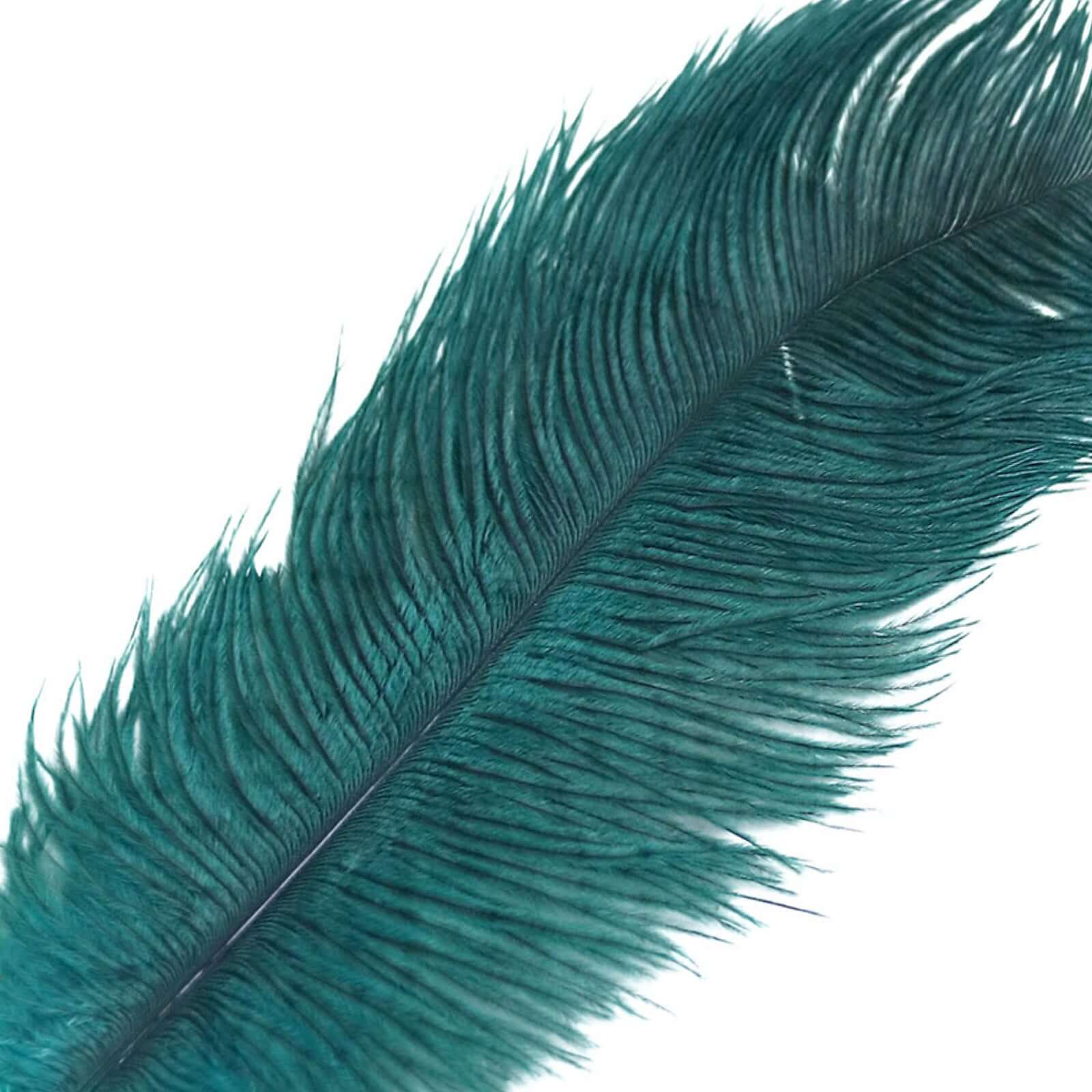 12 Pack Peacock Teal Natural Plume Real Ostrich Feathers, DIY Centerpiece Fillers 13"-15" - Image 8