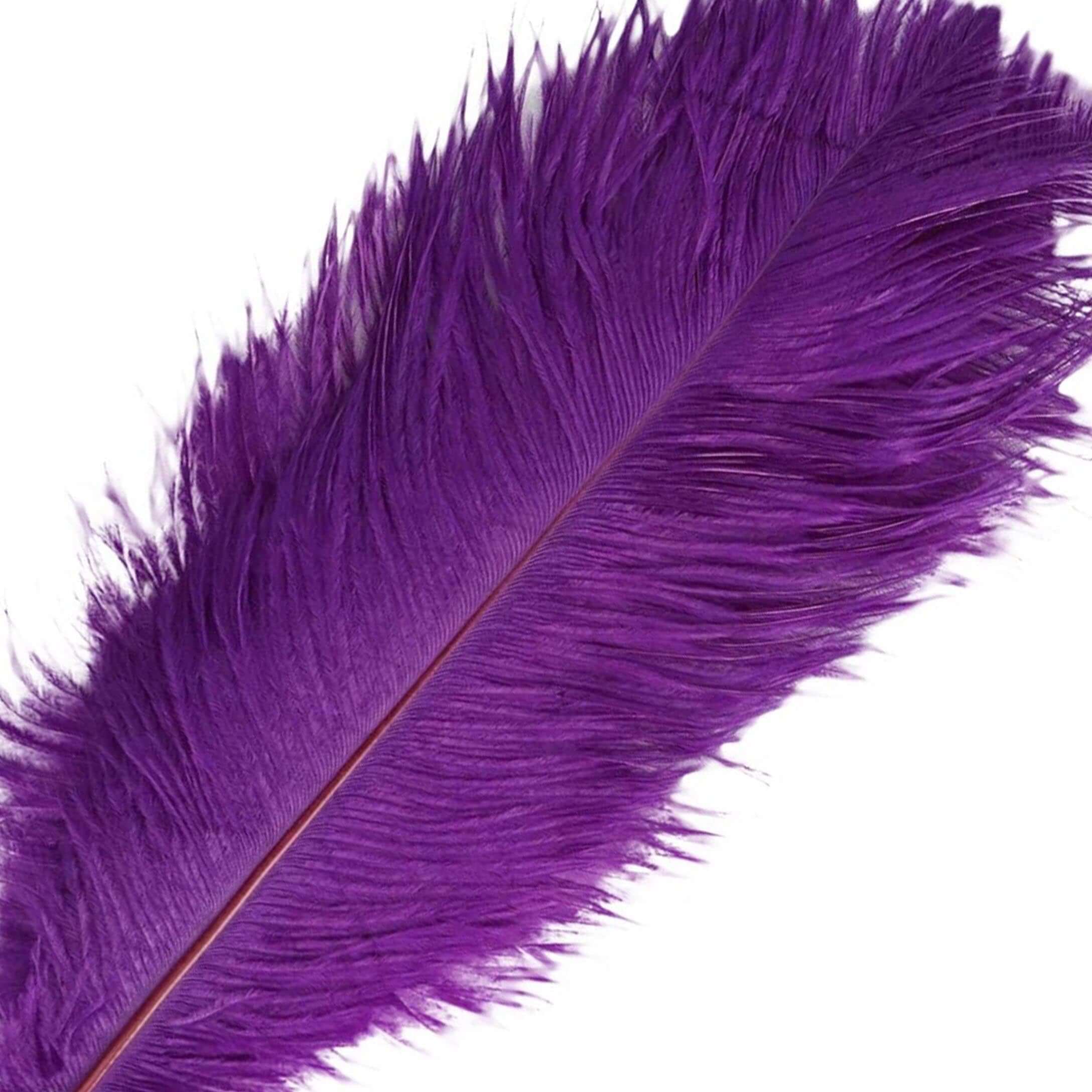 12 Pack Purple Natural Plume Real Ostrich Feathers, DIY Centerpiece Fillers 13"-15" - Image 8
