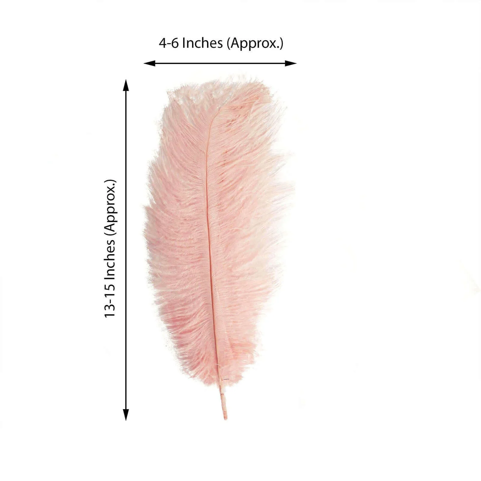 12 Pack Rose Gold Natural Plume Real Ostrich Feathers, DIY Centerpiece Fillers 13"-15" - Image 3