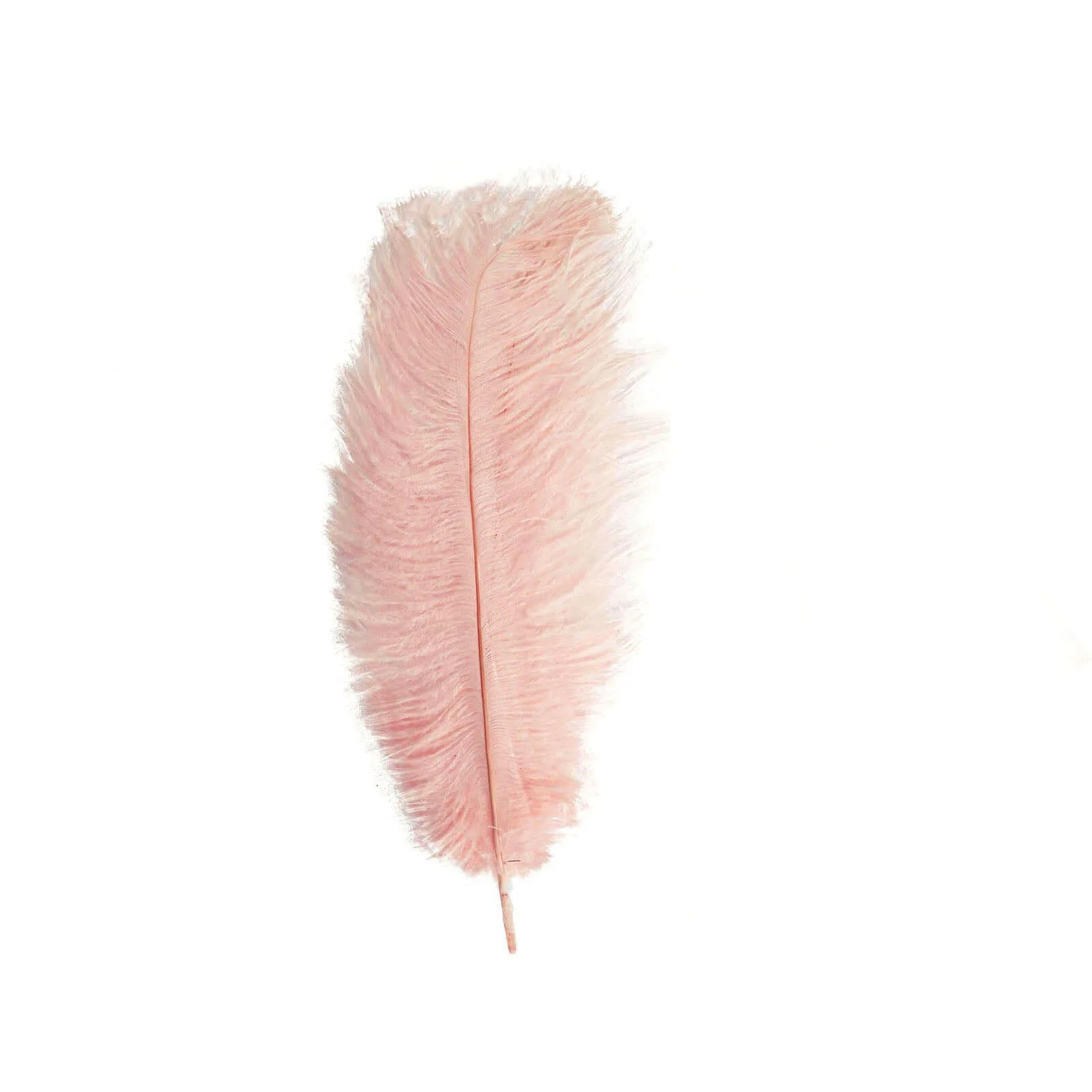 12 Pack Rose Gold Natural Plume Real Ostrich Feathers, DIY Centerpiece Fillers 13"-15" - Image 6