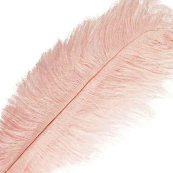 12 Pack Rose Gold Natural Plume Real Ostrich Feathers, DIY Centerpiece Fillers 13"-15" - Image 8