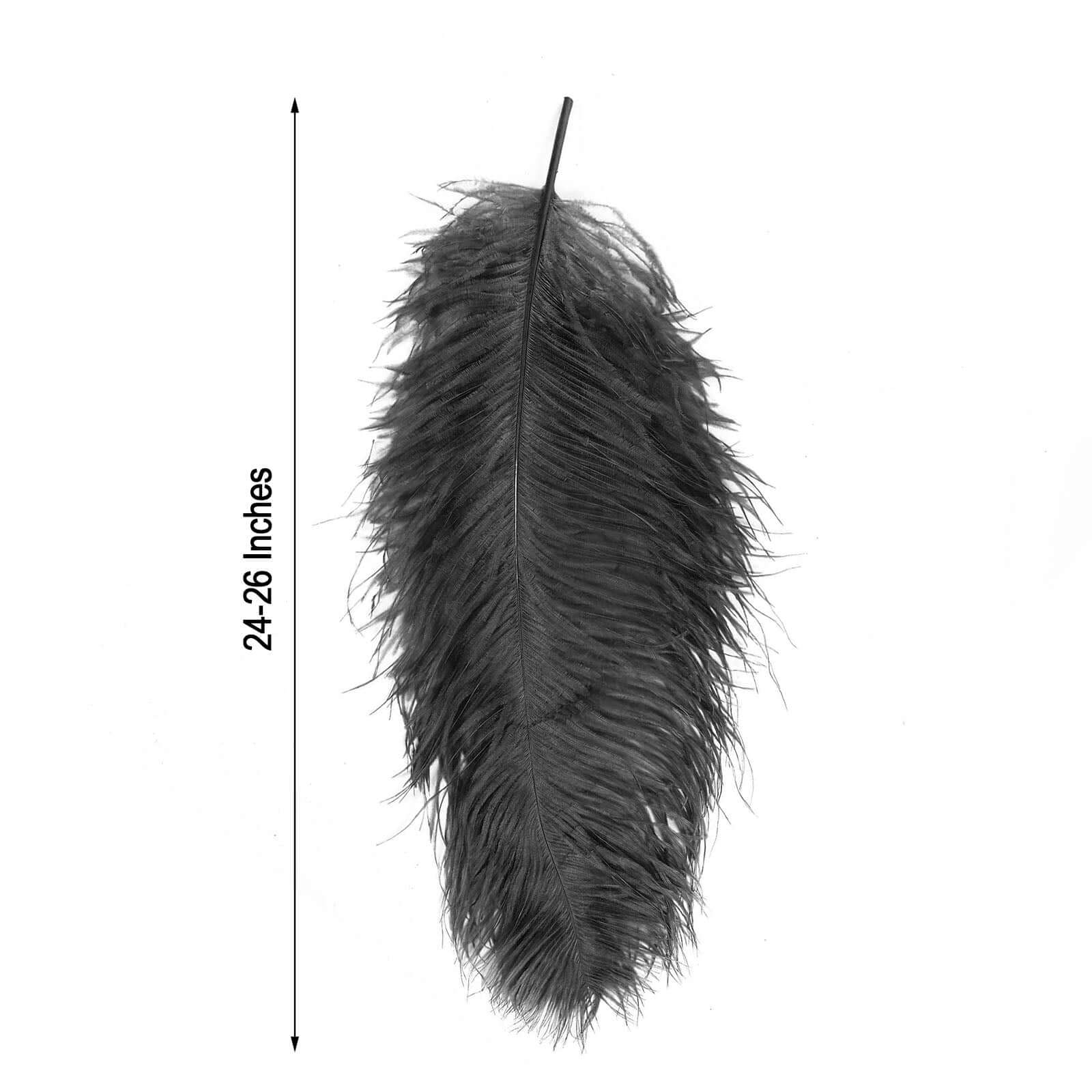 12 Pack Black Natural Plume Ostrich Feathers Centerpiece Filler 24"-26" - Image 3