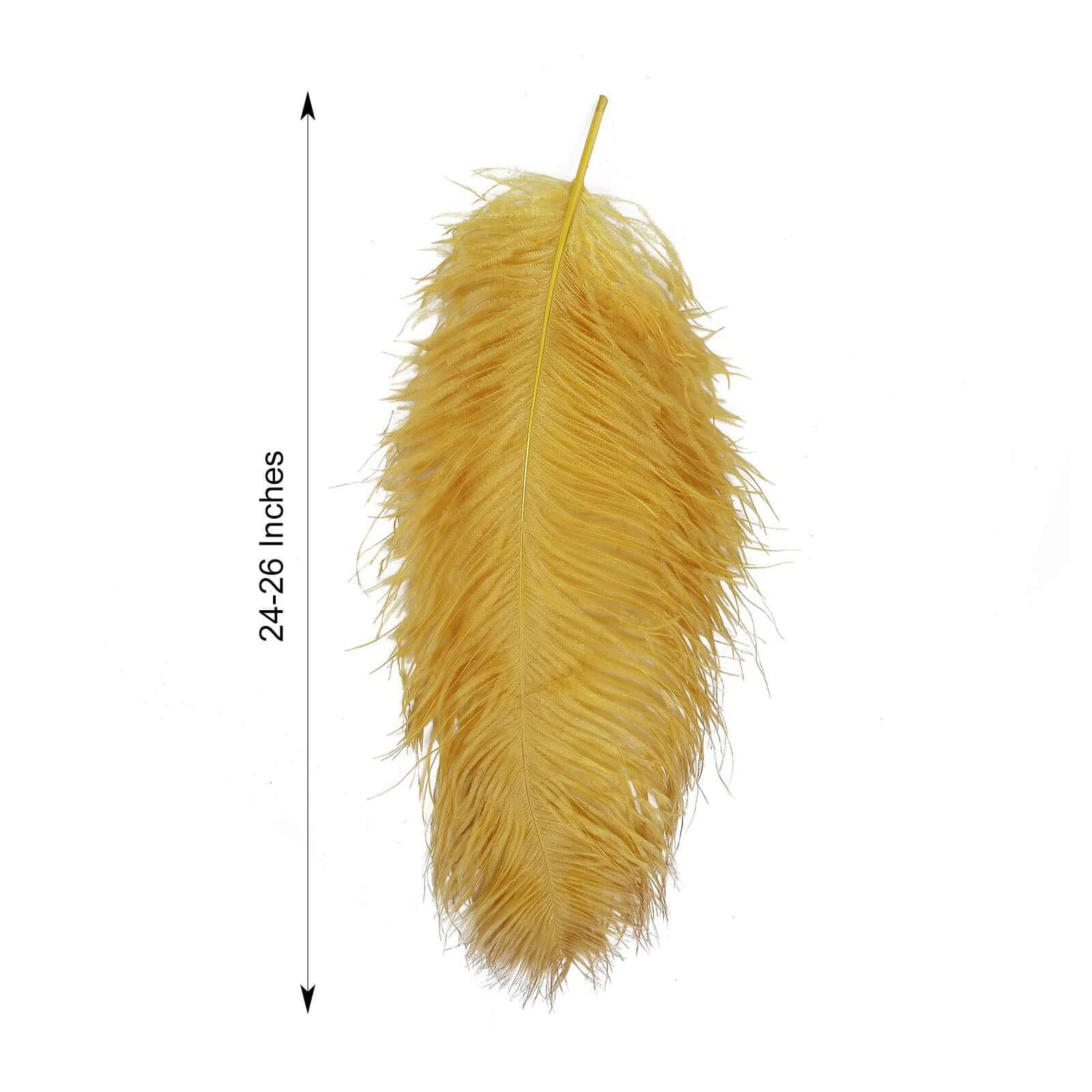 12 Pack Gold Natural Plume Ostrich Feathers Centerpiece Filler 24"-26" - Image 3
