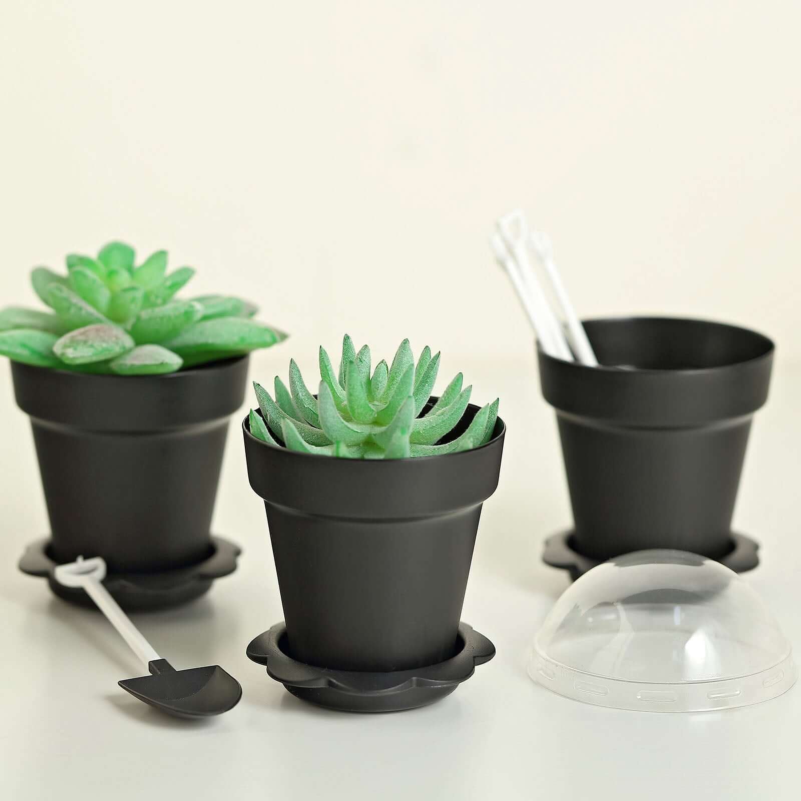 12-Pack Plastic Dessert Cups 4" Succulent Planter Design Black - Includes Clear Lids, Trays, and Shovels - Image 2