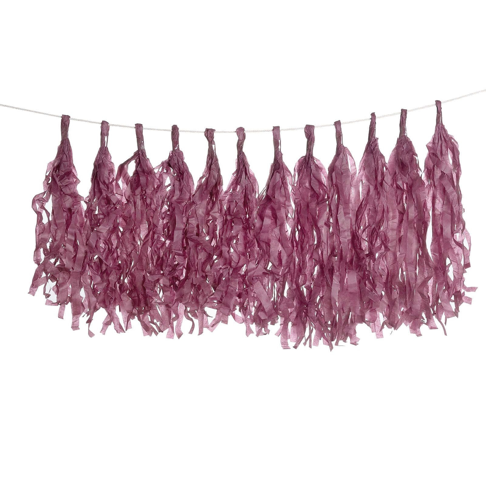 12 Pack Pre-Tied Eggplant Tissue Paper Tassel Garland With String, Hanging Fringe Party Streamer Backdrop Decor - Image 10
