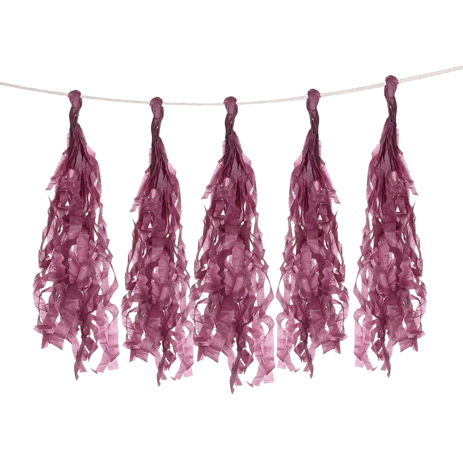 12 Pack Pre-Tied Eggplant Tissue Paper Tassel Garland With String, Hanging Fringe Party Streamer Backdrop Decor - Image 12