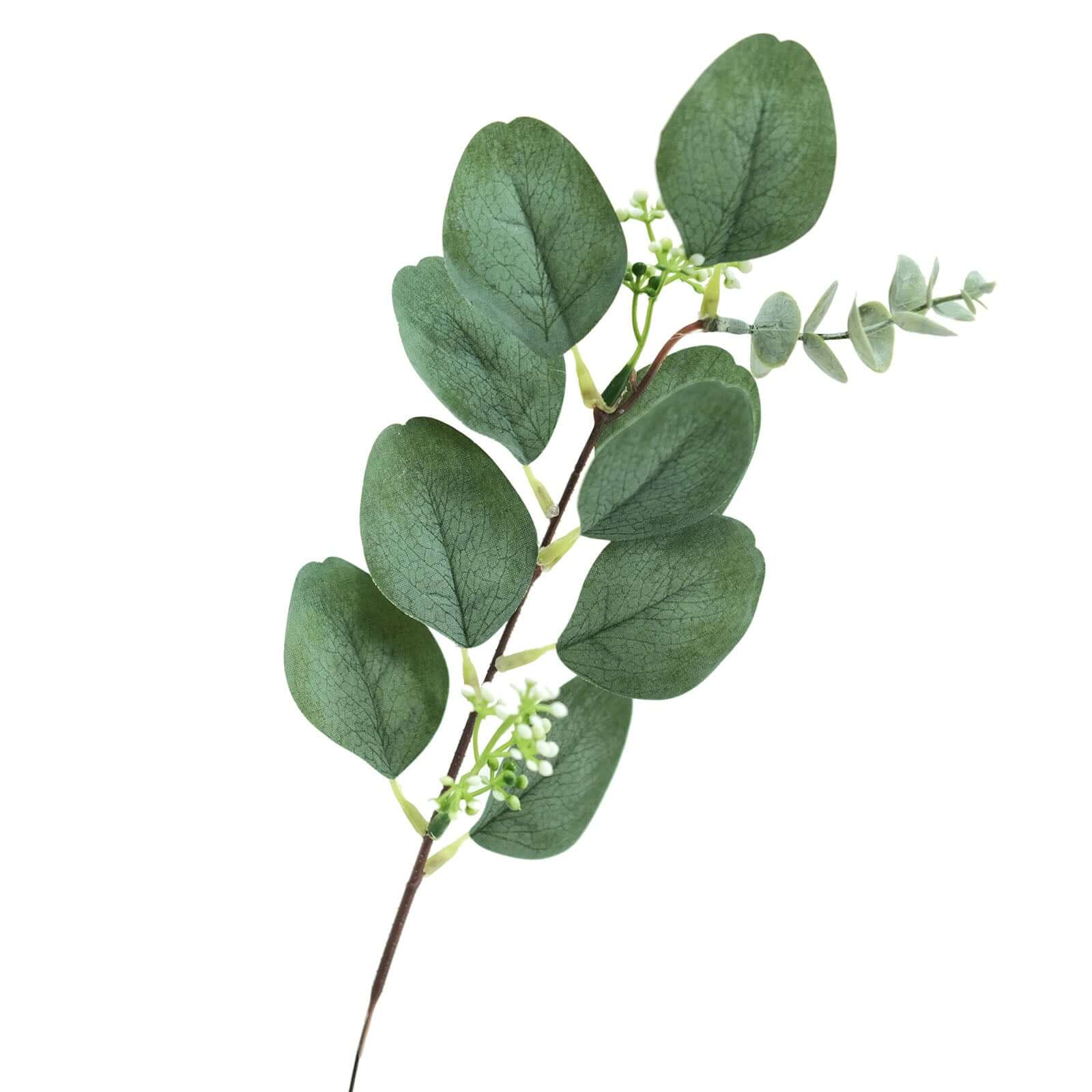 14 Stems Real Touch Artificial Eucalyptus Leaf Flower Bouquet, Faux Silver Dollar Branches, Vase Floral Arrangement 12" - Image 7