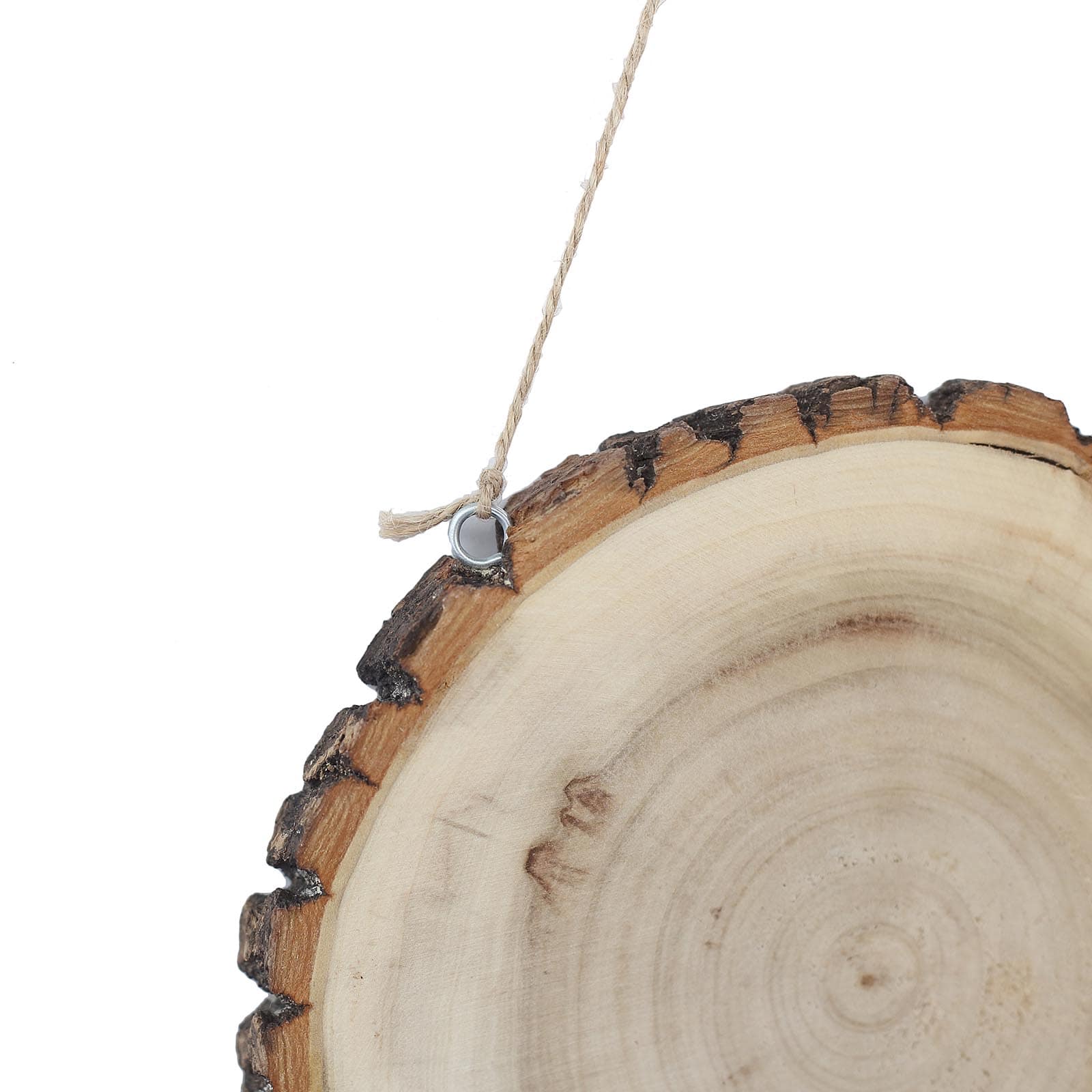 2 Pack Natural Blank Hanging DIY Wood Sign, Round Wood Plaques 8" Dia - Image 14