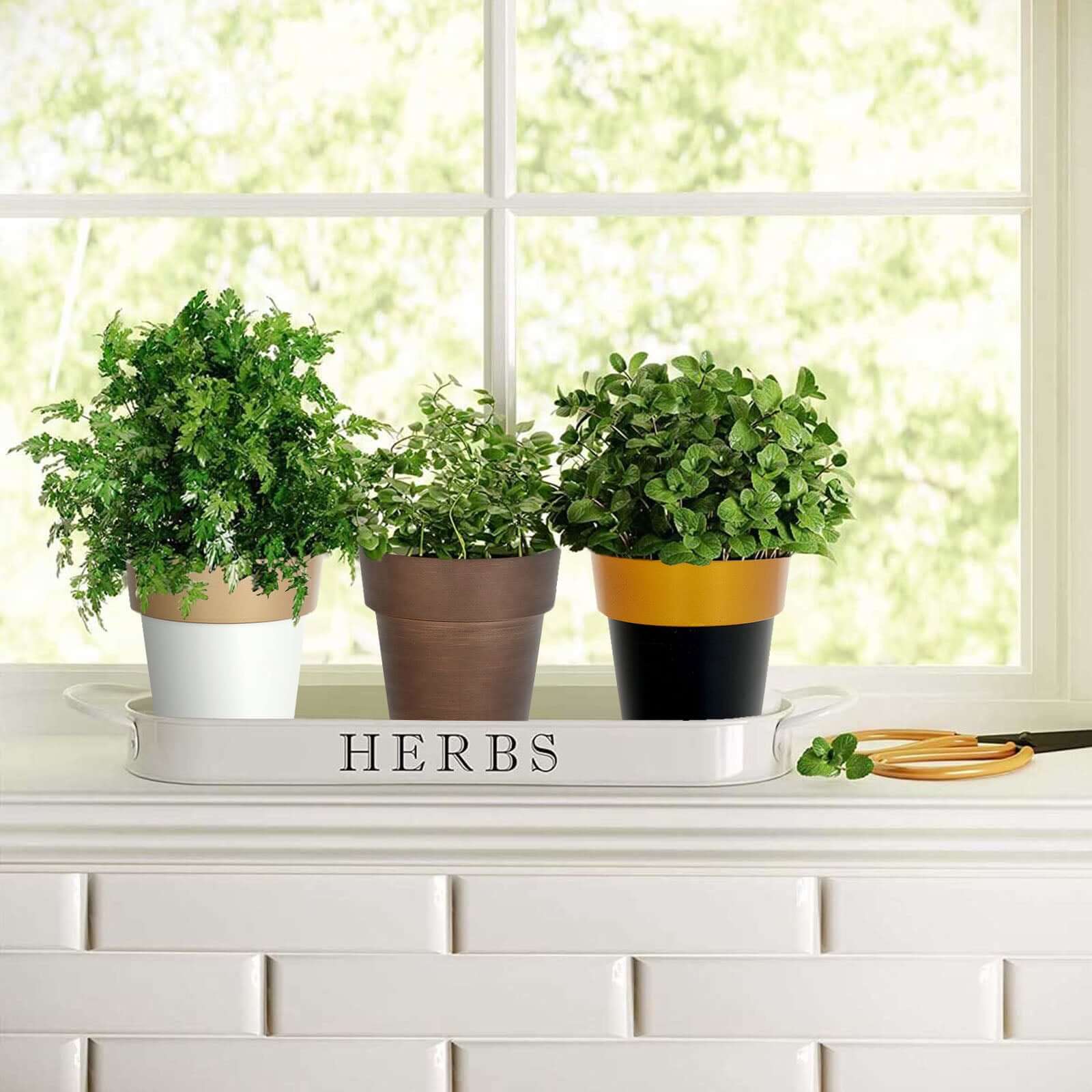2-Pack Plastic Flower Plant Pots 6" Medium Black with Gold Rim - Indoor Decorative Planters - Image 8