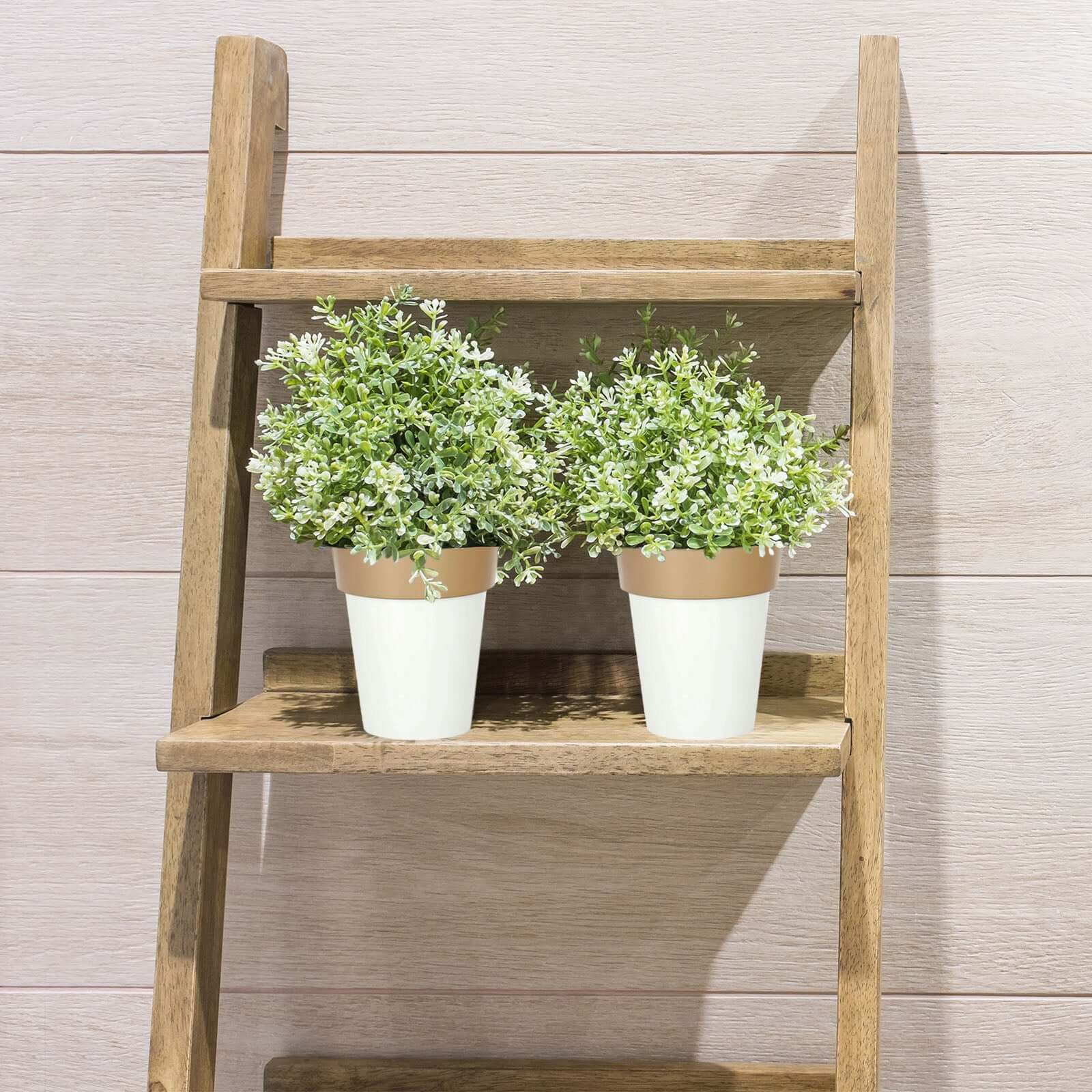2-Pack Plastic Flower Plant Pots 6" Medium White with Gold Rim - Indoor Decorative Planters - Image 11