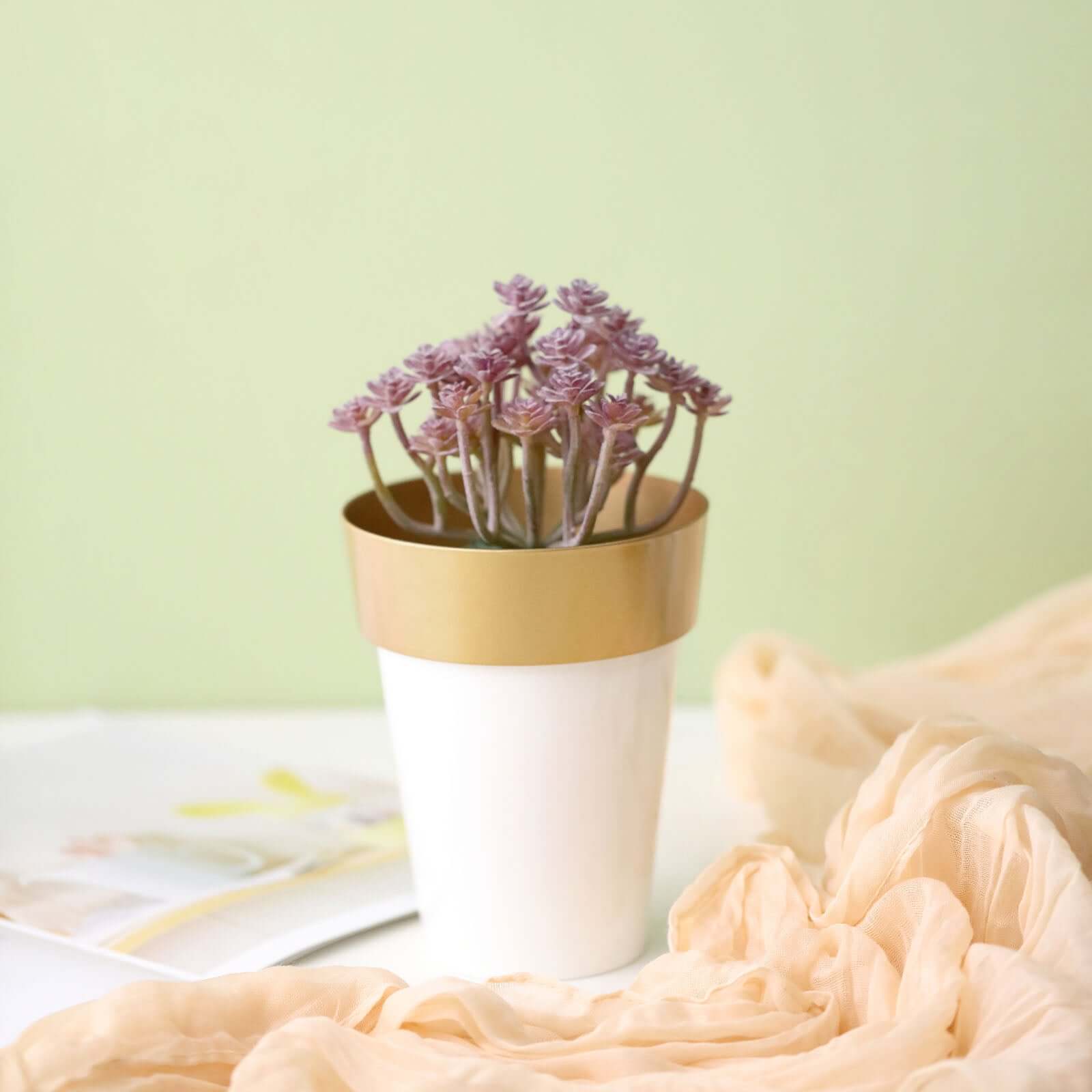 2-Pack Plastic Flower Plant Pots 6" Medium White with Gold Rim - Indoor Decorative Planters - Image 12