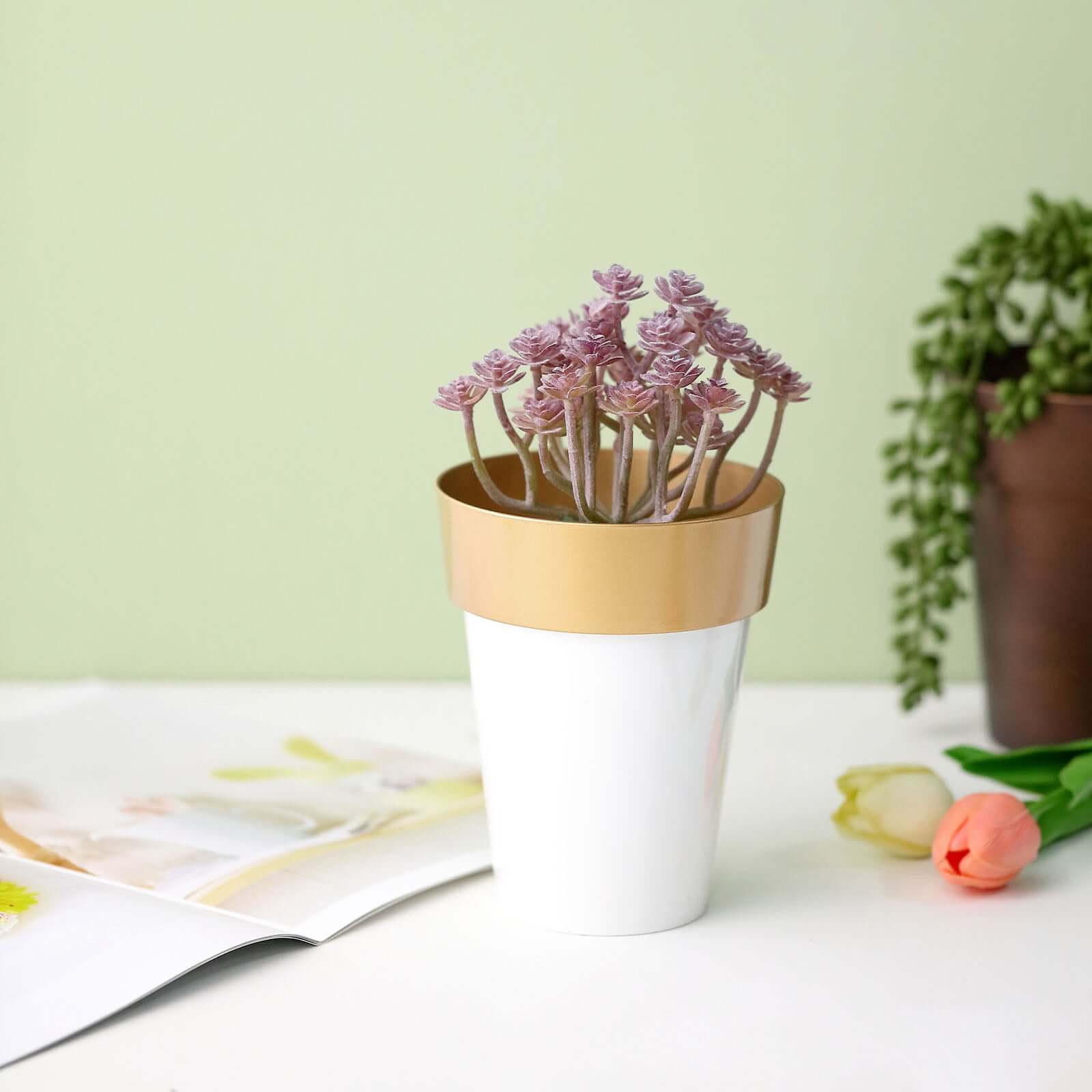 2-Pack Plastic Flower Plant Pots 6" Medium White with Gold Rim - Indoor Decorative Planters - Image 9