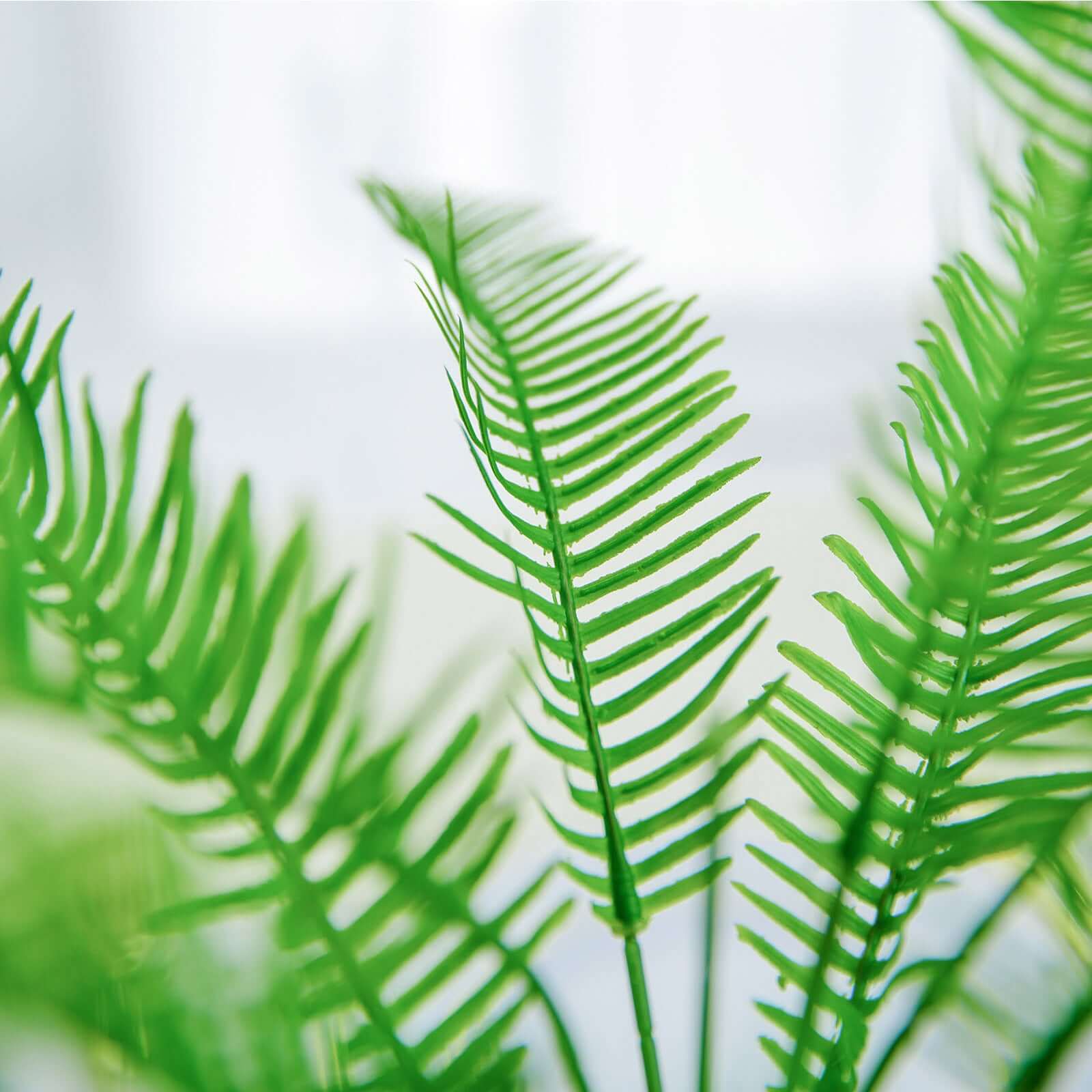 2 Stems Artificial Green Cycas Fern Leaf Indoor Bushes, Faux Plants - Image 9