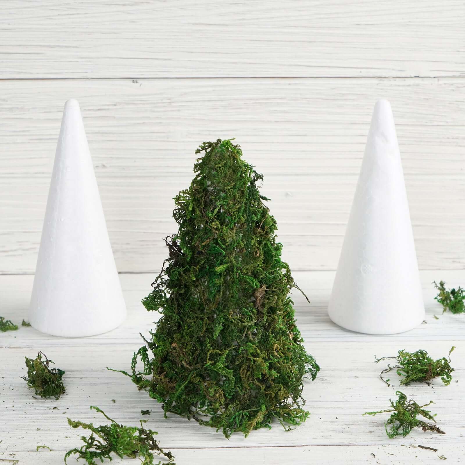 24 Pack White Styrofoam Cone, Foam Cone For DIY Crafts 6" - Image 2