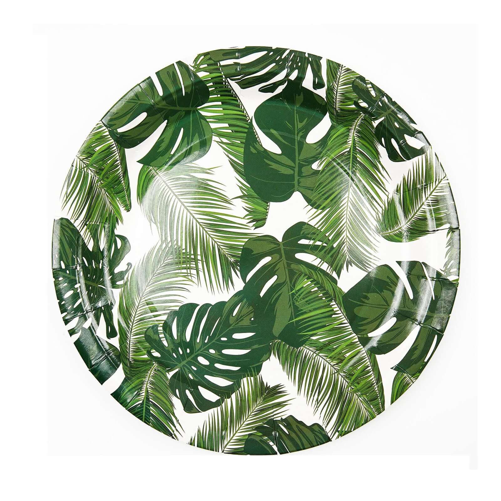 25-Pack Paper Round Dinner Plates 9" White with Tropical Palm Leaf Design - 300GSM Disposable Party Plates for Boho Chic & Jungle Themed Events - Image 7
