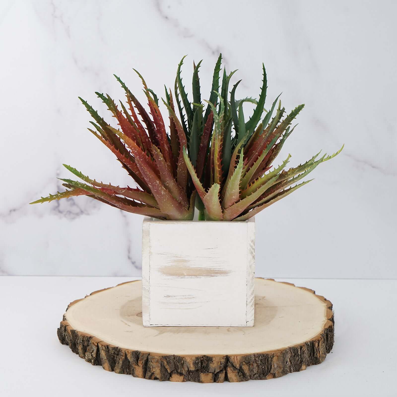 3 Pack Artificial PVC Aloe Cameronii Decorative Succulent Plants 12" - Image 7