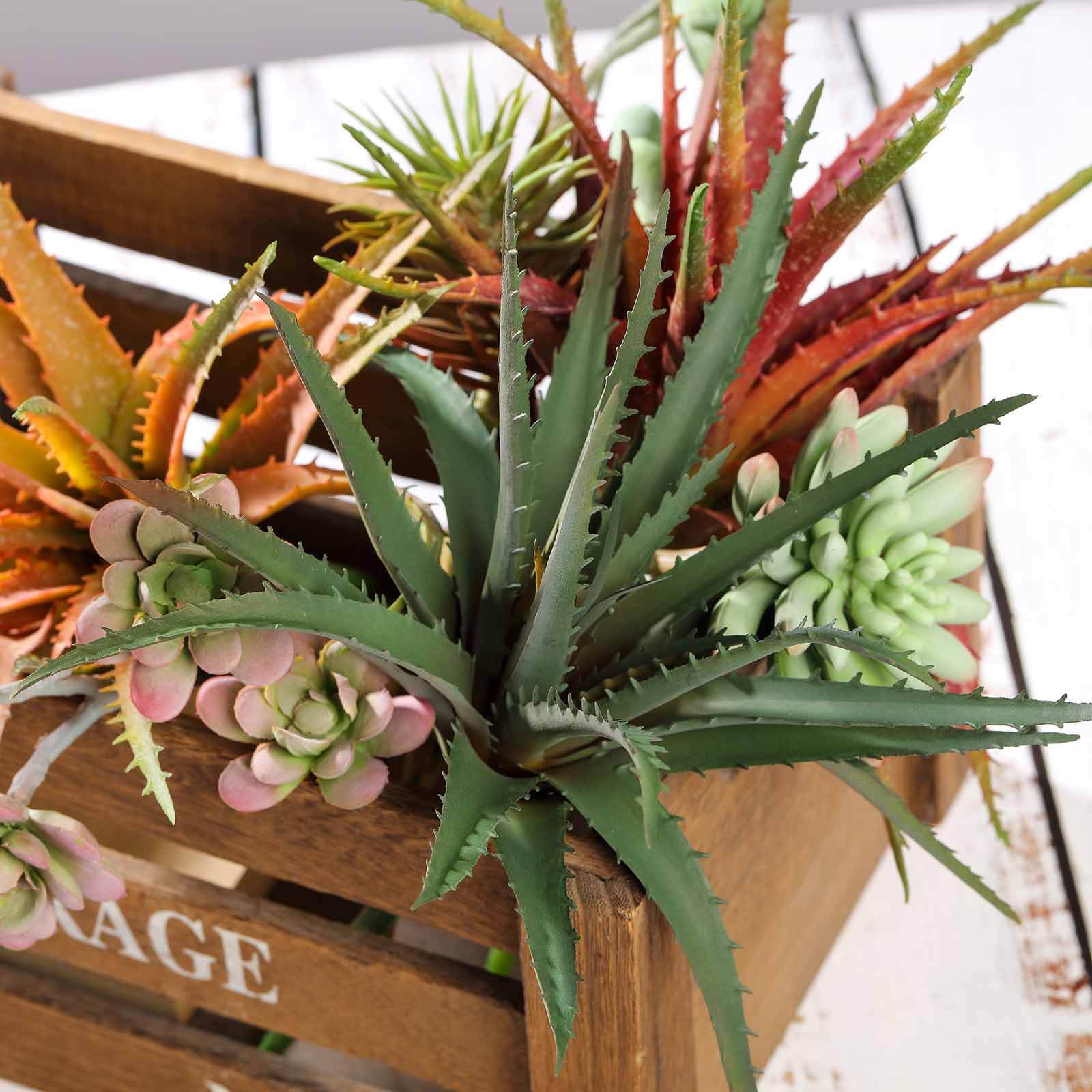 3 Pack Artificial PVC Aloe Cameronii Decorative Succulent Plants 12" - Image 9