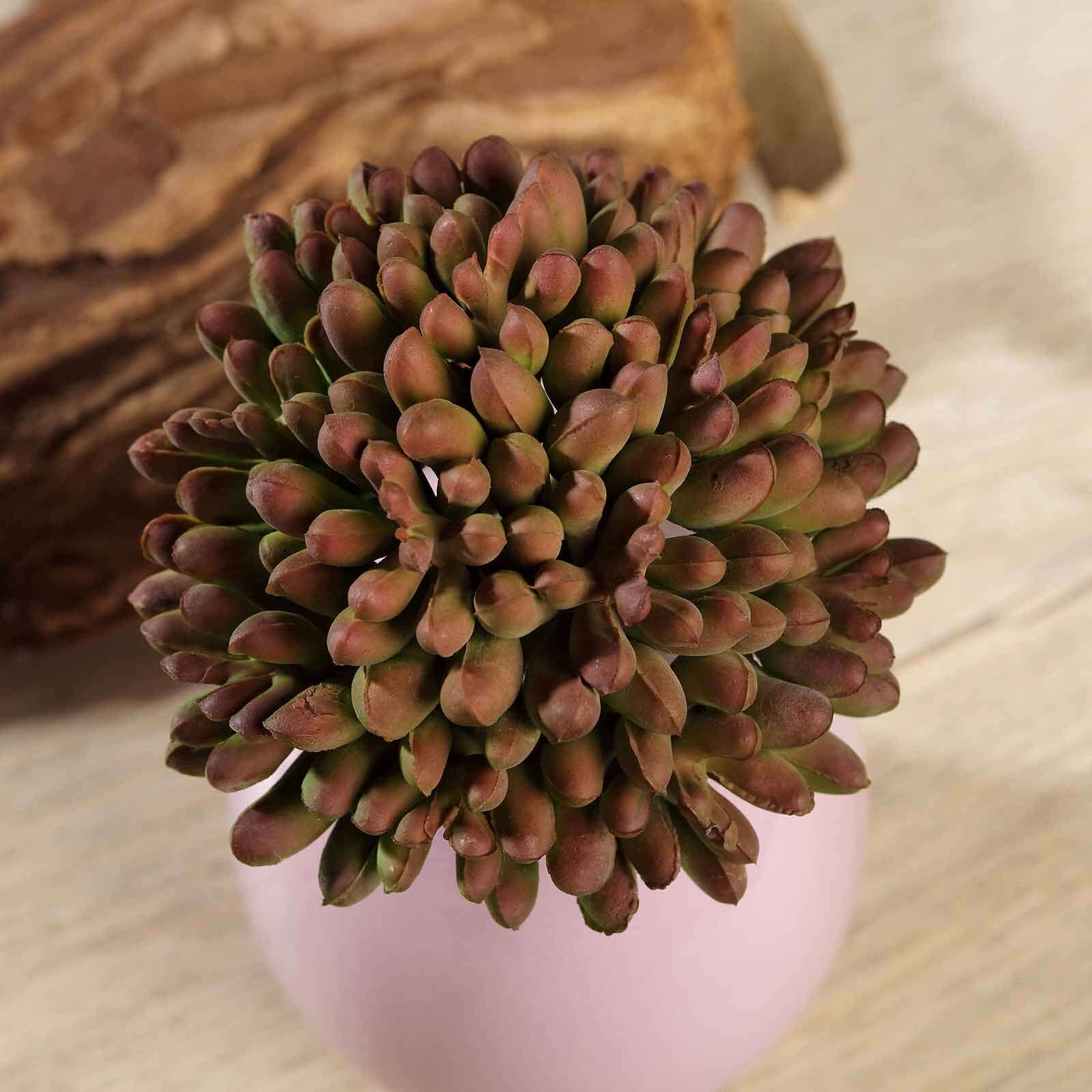 3 Pack Artificial PVC Mini Jelly Bean Decorative Succulent Plants 4" - Image 7