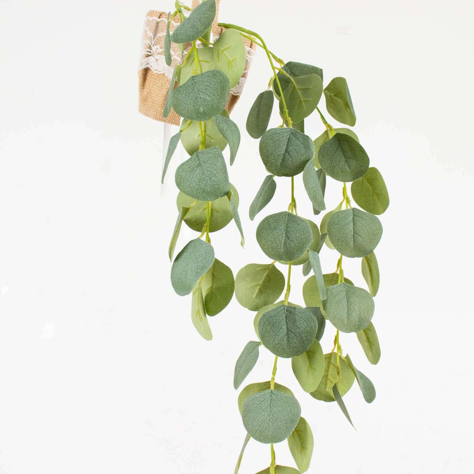 3 Pack Green Real Touch Hanging Artificial Plant Eucalyptus Stems, Silk Silver Dollar Indoor Leaf Sprays 41" - Image 6