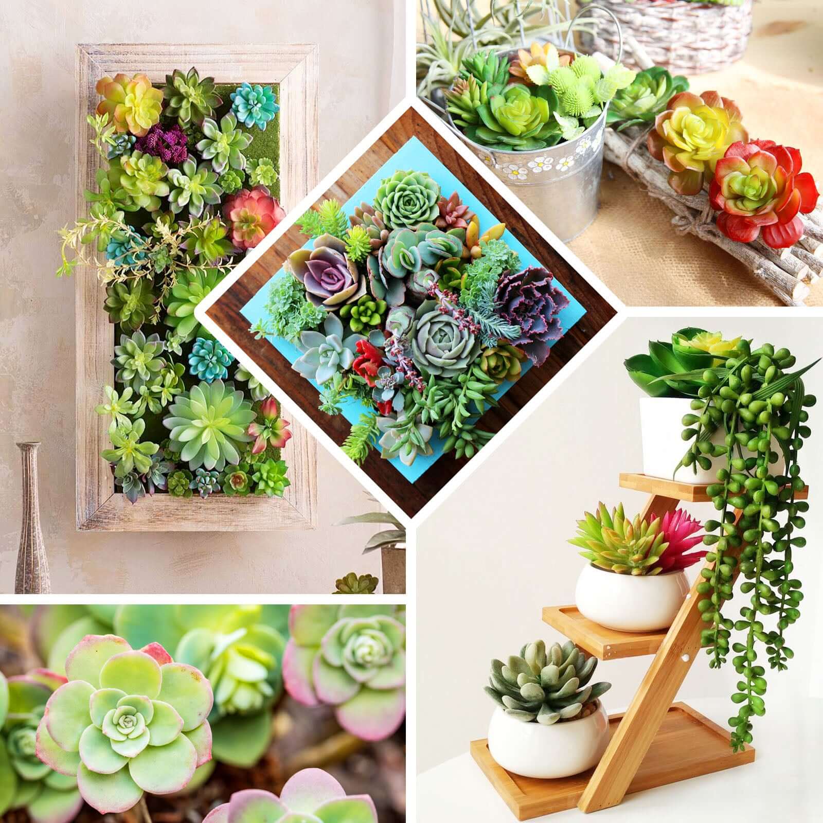 3 Pack Artificial PVC Wavy Kalanchoe Decorative Succulent Plants 6" - Image 5