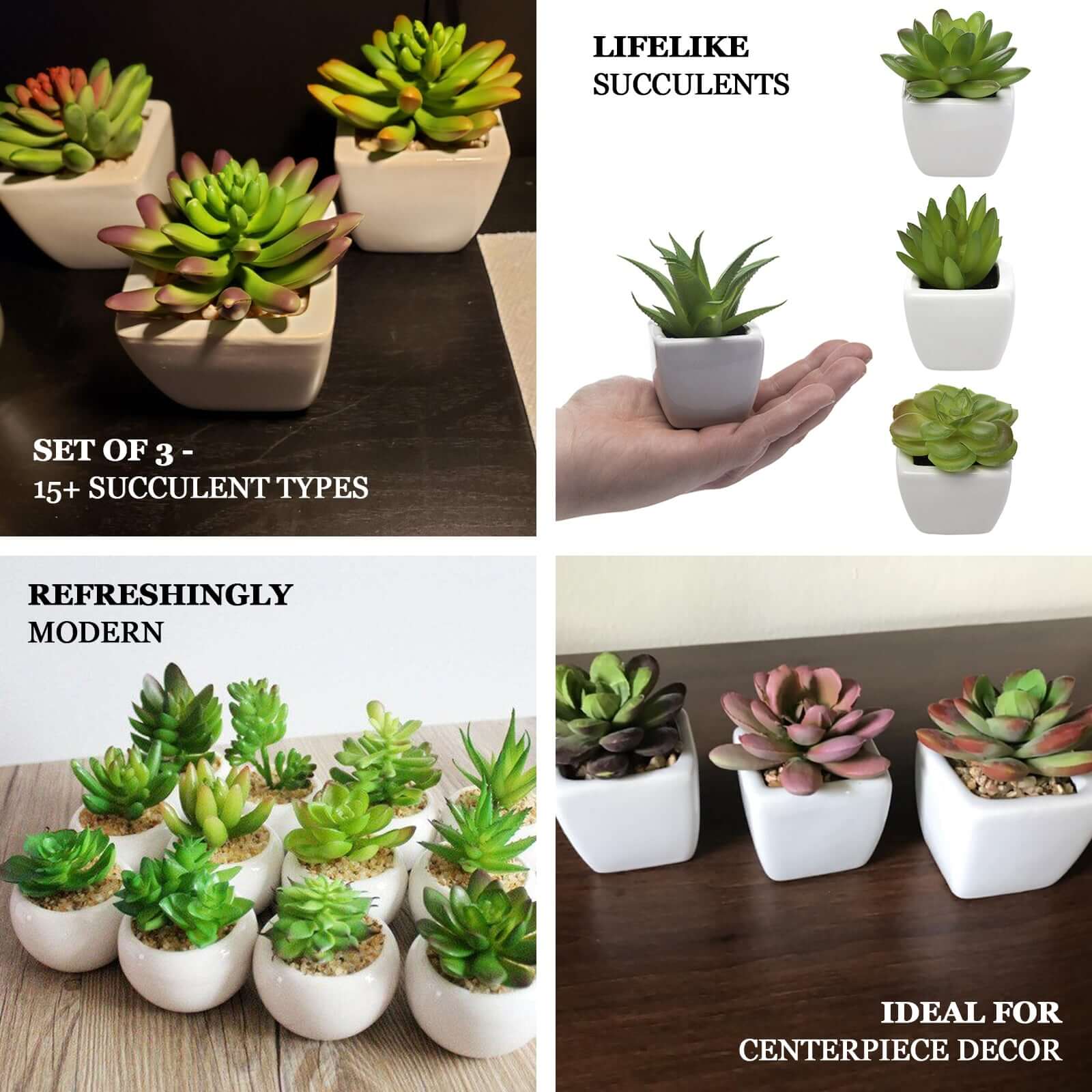3-Pack Crassula Artificial Succulents in Geometric Ceramic Pot 8" - Realistic Maintenance-Free Faux Plants for Bathroom Coffee Table Shelves & Desk - Image 4