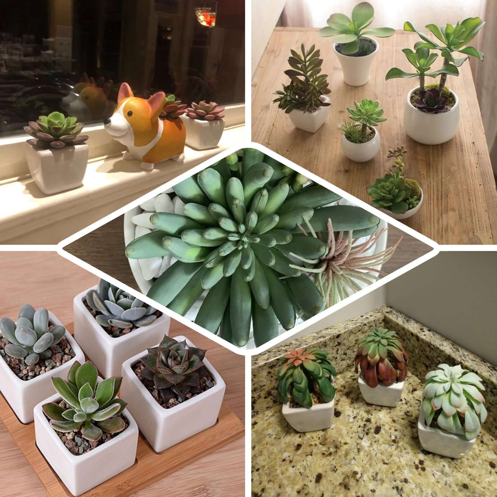3-Pack Crassula Artificial Succulents in Geometric Ceramic Pot 8" - Realistic Maintenance-Free Faux Plants for Bathroom Coffee Table Shelves & Desk - Image 5