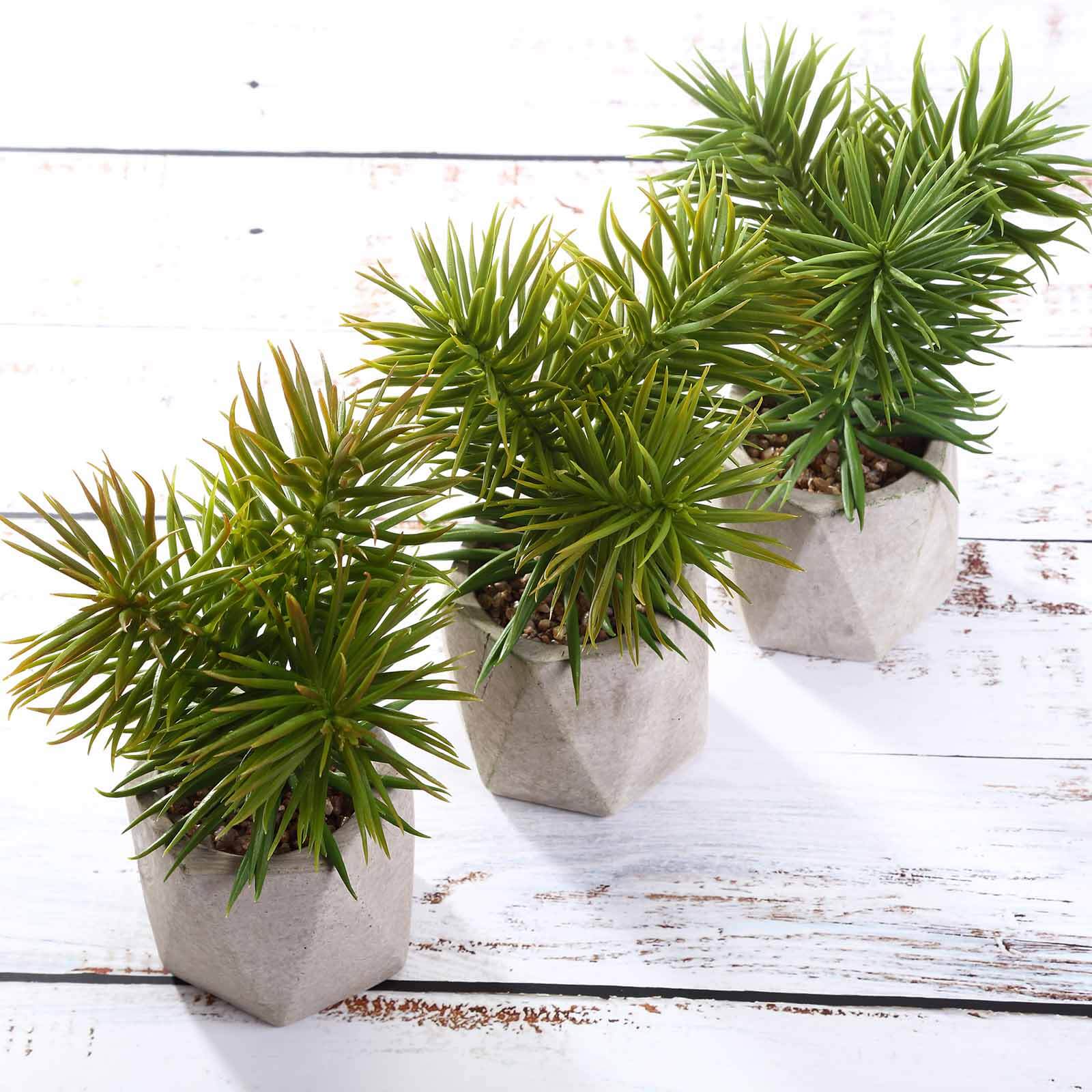 3-Pack Crassula Artificial Succulents in Geometric Ceramic Pot 8" - Realistic Maintenance-Free Faux Plants for Bathroom Coffee Table Shelves & Desk - Image 7