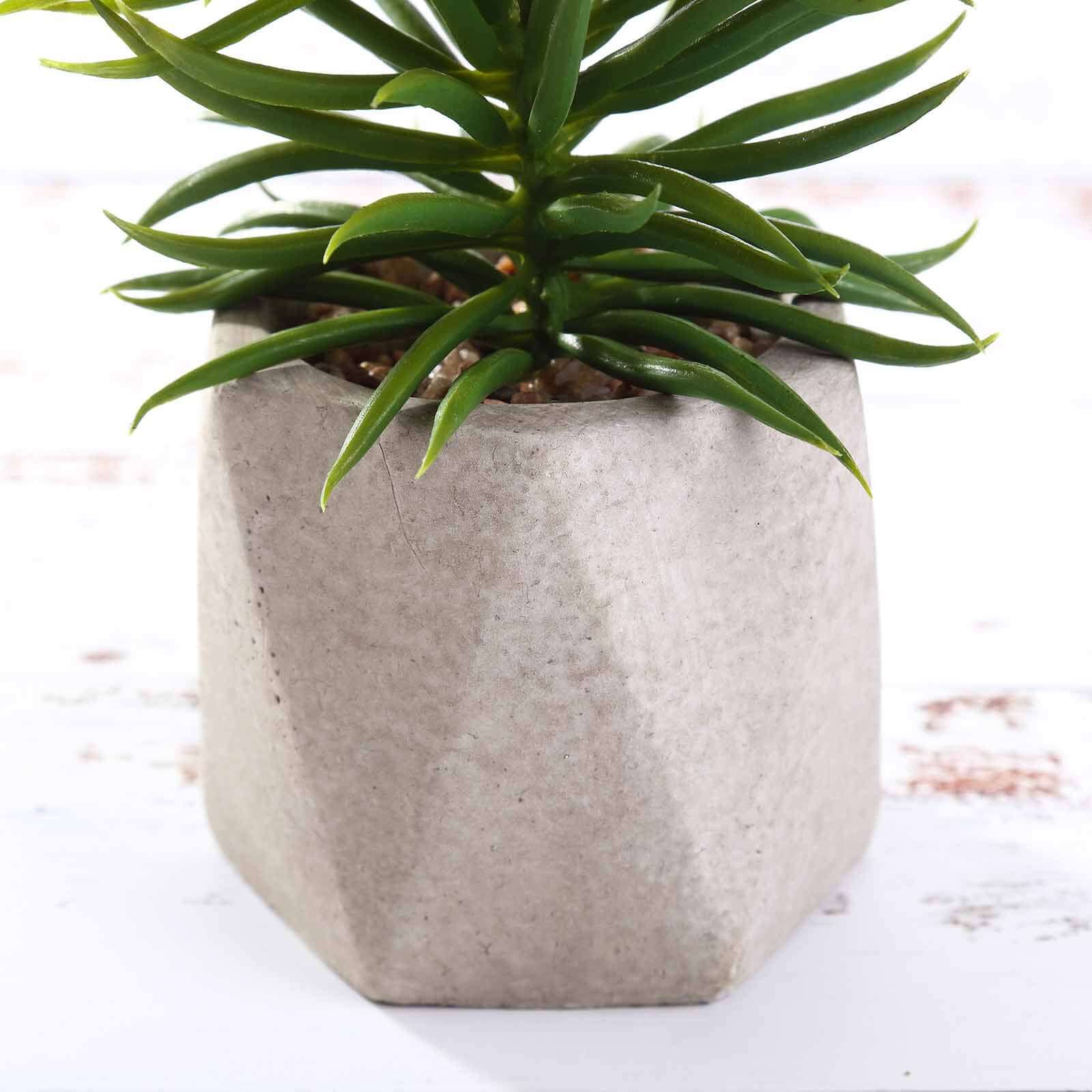 3-Pack Crassula Artificial Succulents in Geometric Ceramic Pot 8" - Realistic Maintenance-Free Faux Plants for Bathroom Coffee Table Shelves & Desk - Image 9