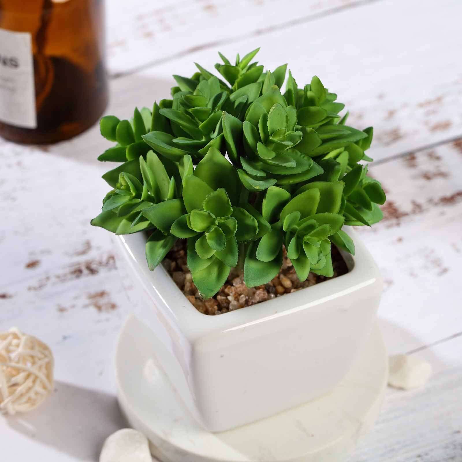 3-Pack Echeveria Artificial Succulents in Ceramic Pot 4" Green - Realistic Maintenance-Free Faux Plants for Bathroom Coffee Table Shelves & Desk - Image 10