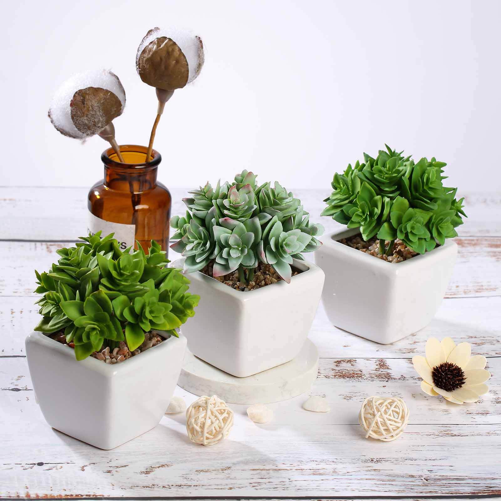 3-Pack Echeveria Artificial Succulents in Ceramic Pot 4" Green - Realistic Maintenance-Free Faux Plants for Bathroom Coffee Table Shelves & Desk - Image 12