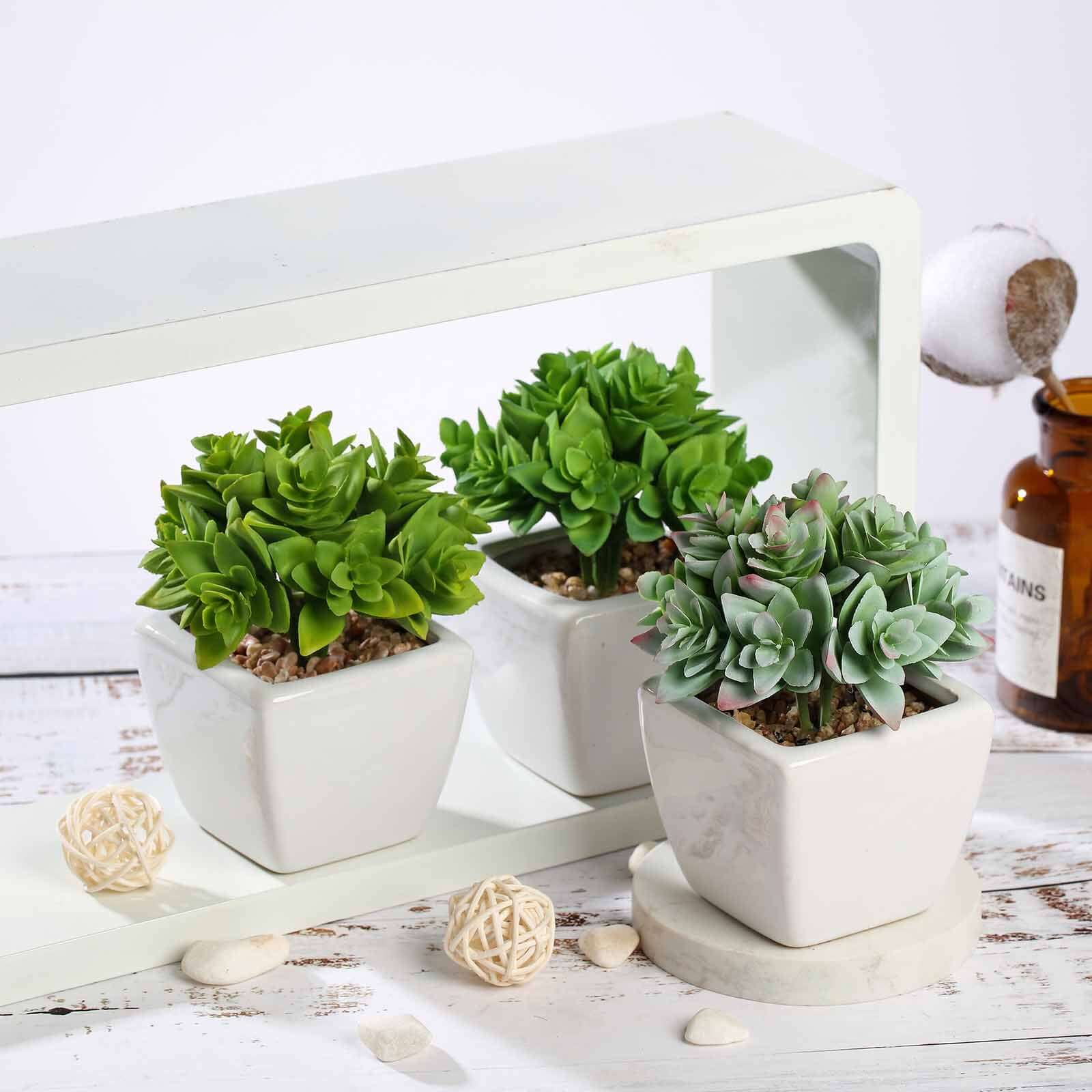 3-Pack Echeveria Artificial Succulents in Ceramic Pot 4" Green - Realistic Maintenance-Free Faux Plants for Bathroom Coffee Table Shelves & Desk - Image 8