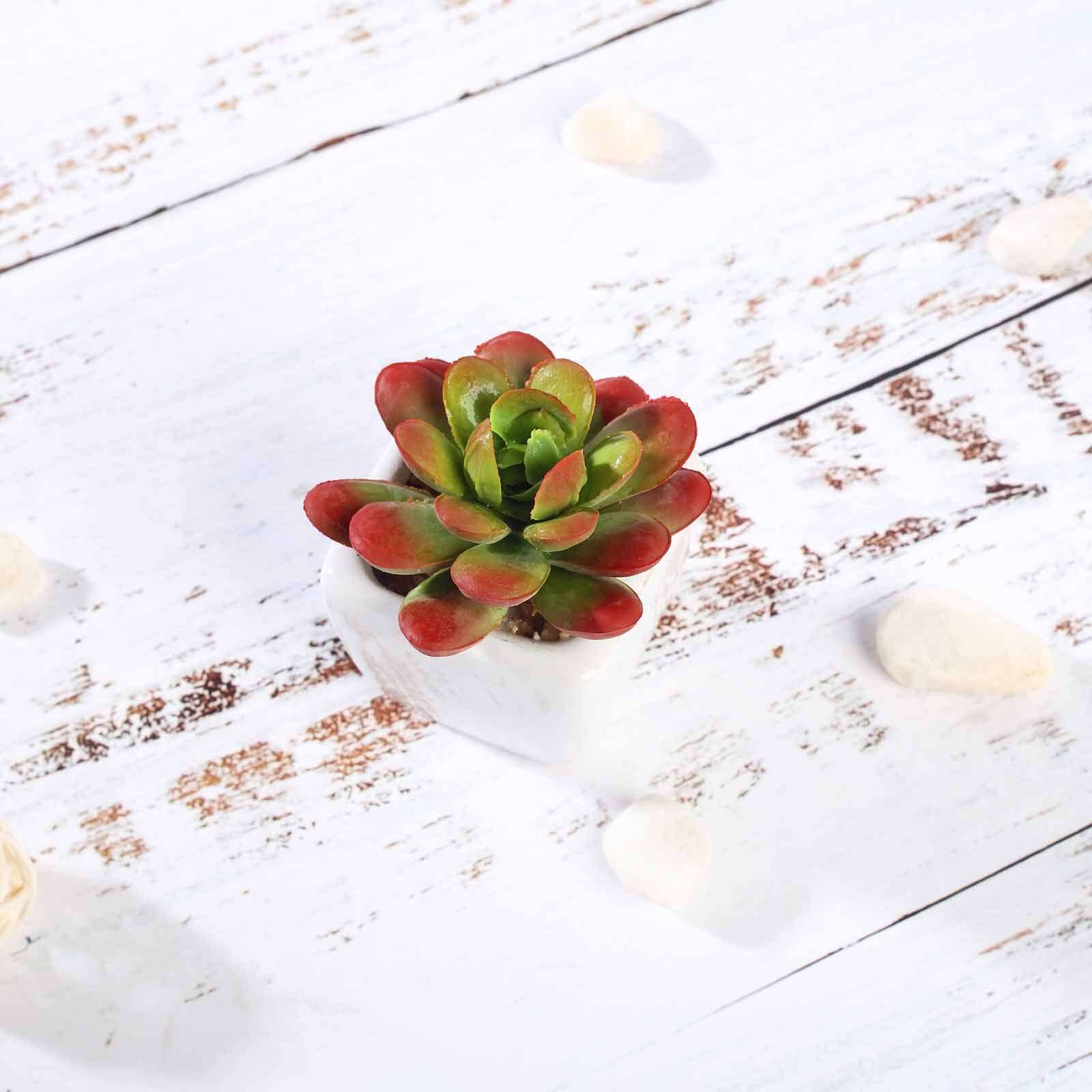3-Pack Echeveria Elegans Artificial Succulents in Ceramic Pot 3" - Realistic Maintenance-Free Faux Plants for Bathroom Coffee Table Shelves & Desk - Image 10