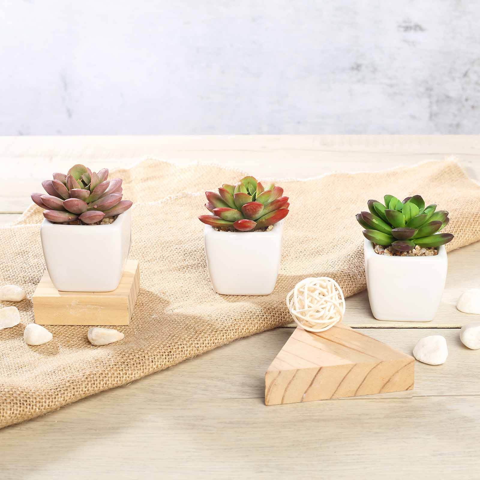 3-Pack Echeveria Elegans Artificial Succulents in Ceramic Pot 3" - Realistic Maintenance-Free Faux Plants for Bathroom Coffee Table Shelves & Desk - Image 11