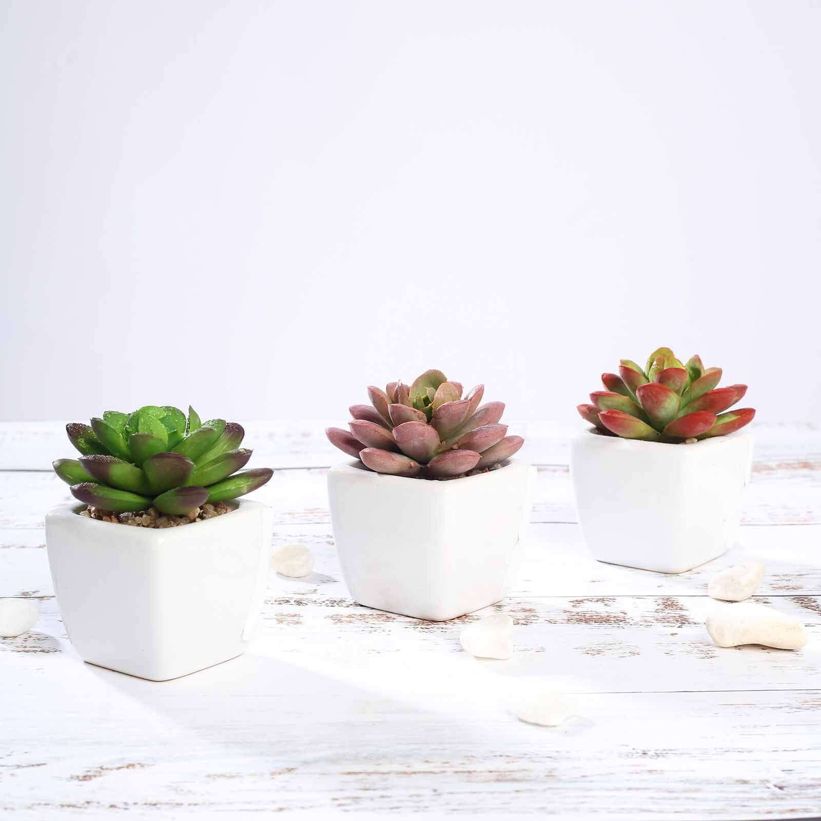3-Pack Echeveria Elegans Artificial Succulents in Ceramic Pot 3" - Realistic Maintenance-Free Faux Plants for Bathroom Coffee Table Shelves & Desk - Image 12