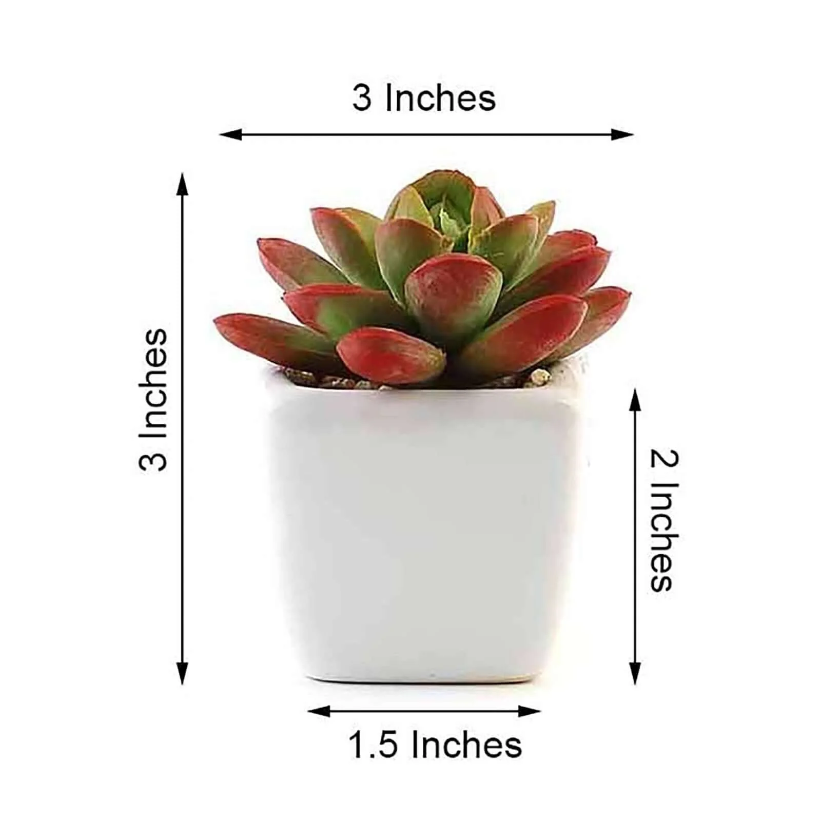 3-Pack Echeveria Elegans Artificial Succulents in Ceramic Pot 3" - Realistic Maintenance-Free Faux Plants for Bathroom Coffee Table Shelves & Desk - Image 3