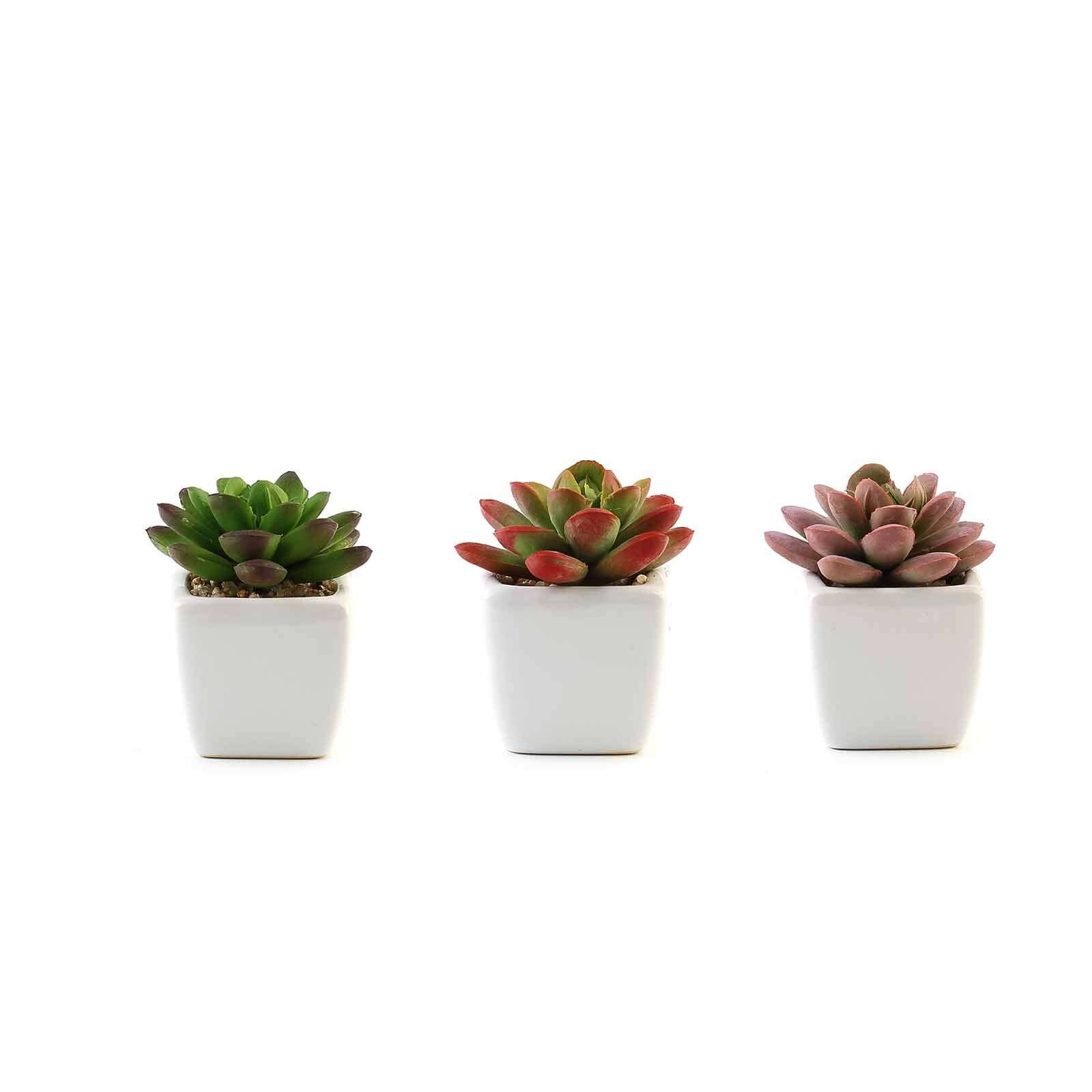 3-Pack Echeveria Elegans Artificial Succulents in Ceramic Pot 3" - Realistic Maintenance-Free Faux Plants for Bathroom Coffee Table Shelves & Desk - Image 7