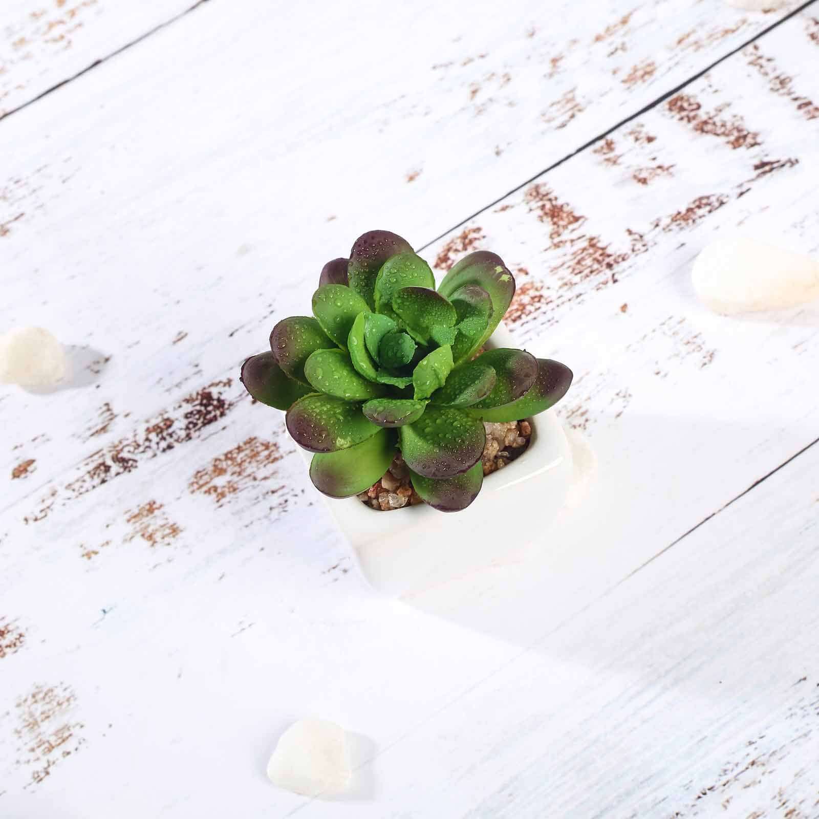 3-Pack Echeveria Elegans Artificial Succulents in Ceramic Pot 3" - Realistic Maintenance-Free Faux Plants for Bathroom Coffee Table Shelves & Desk - Image 8