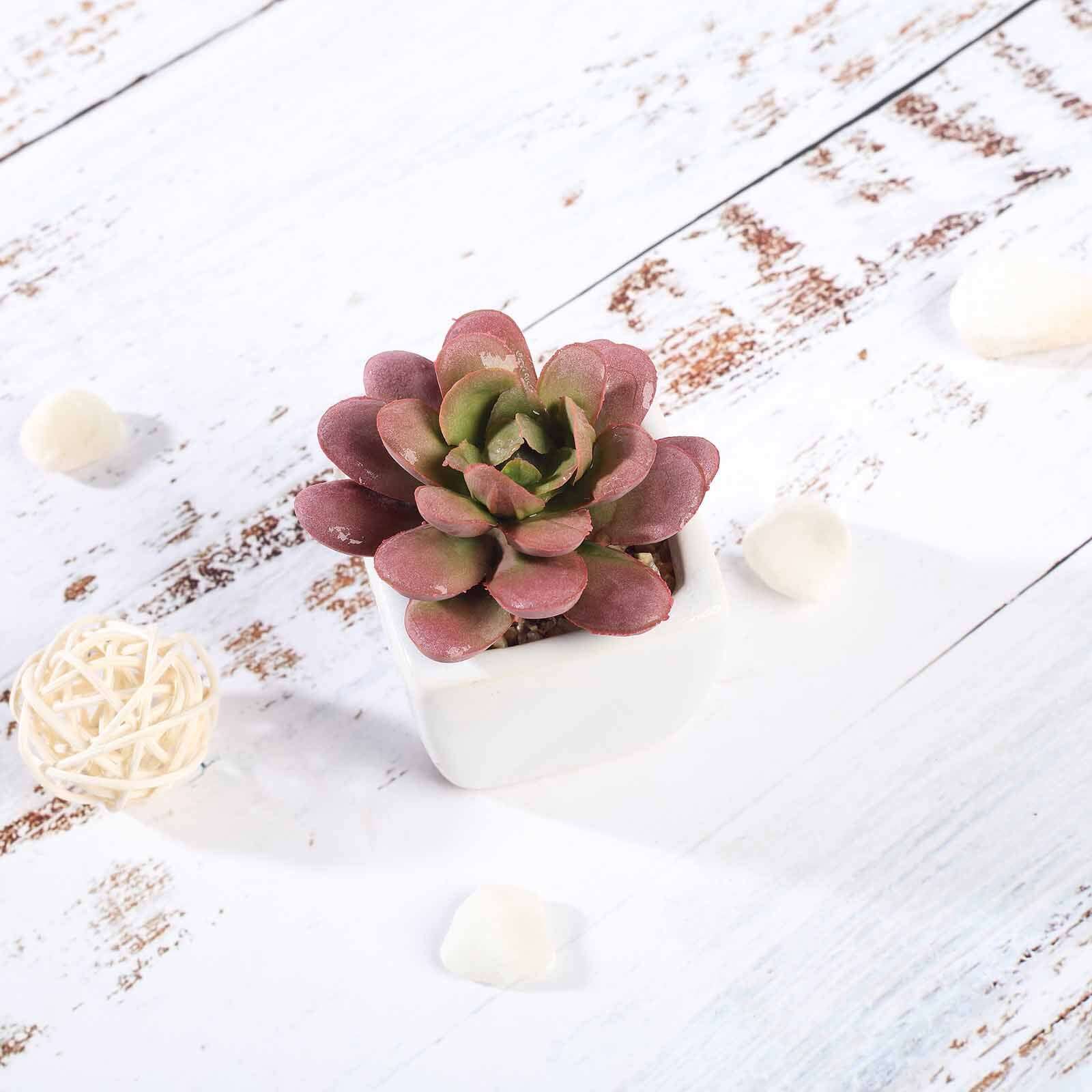 3-Pack Echeveria Elegans Artificial Succulents in Ceramic Pot 3" - Realistic Maintenance-Free Faux Plants for Bathroom Coffee Table Shelves & Desk - Image 9