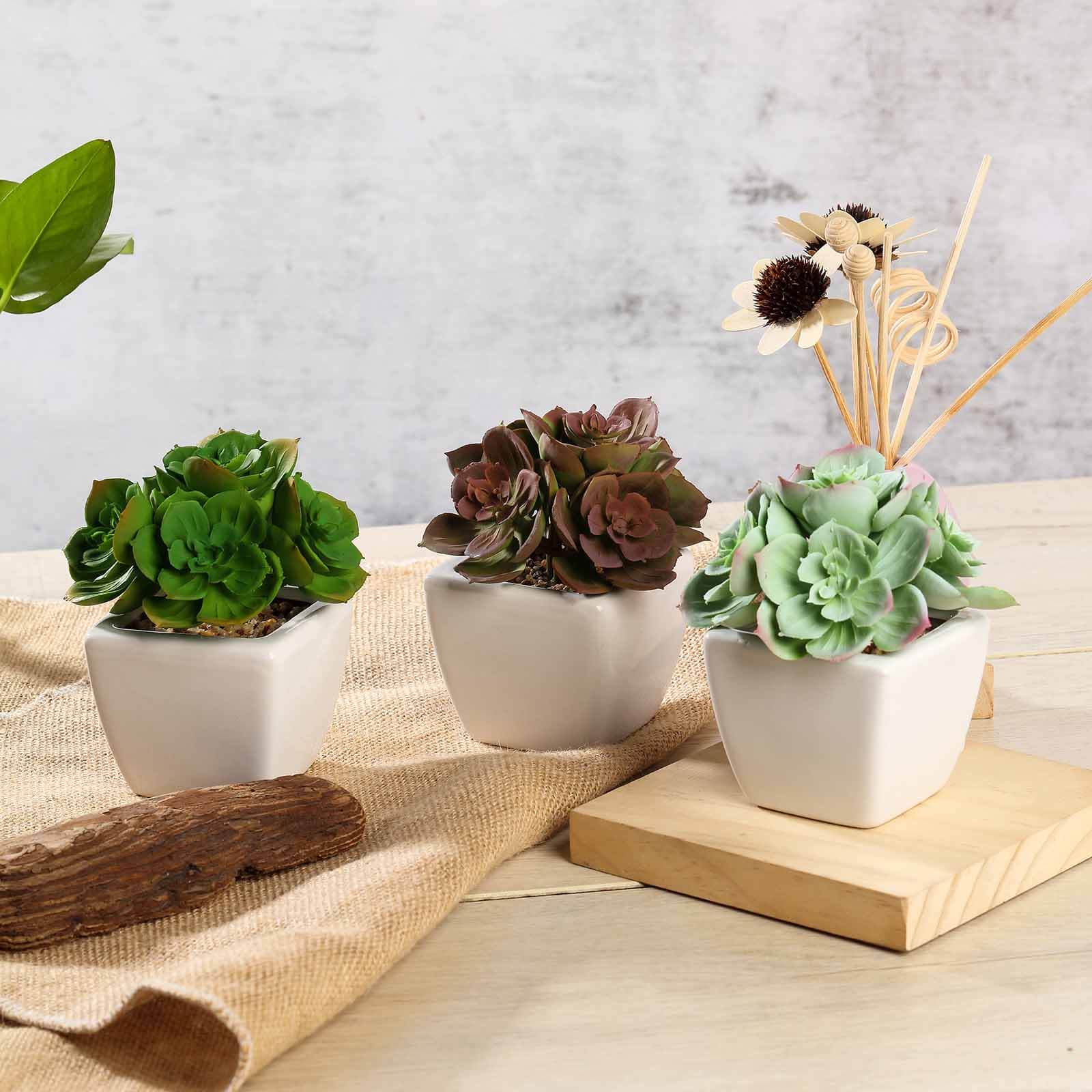 3-Pack Echeveria Elegans Artificial Succulents in Ceramic Pot 5" - Realistic Maintenance-Free Faux Plants for Bathroom Coffee Table Shelves & Desk - Image 6