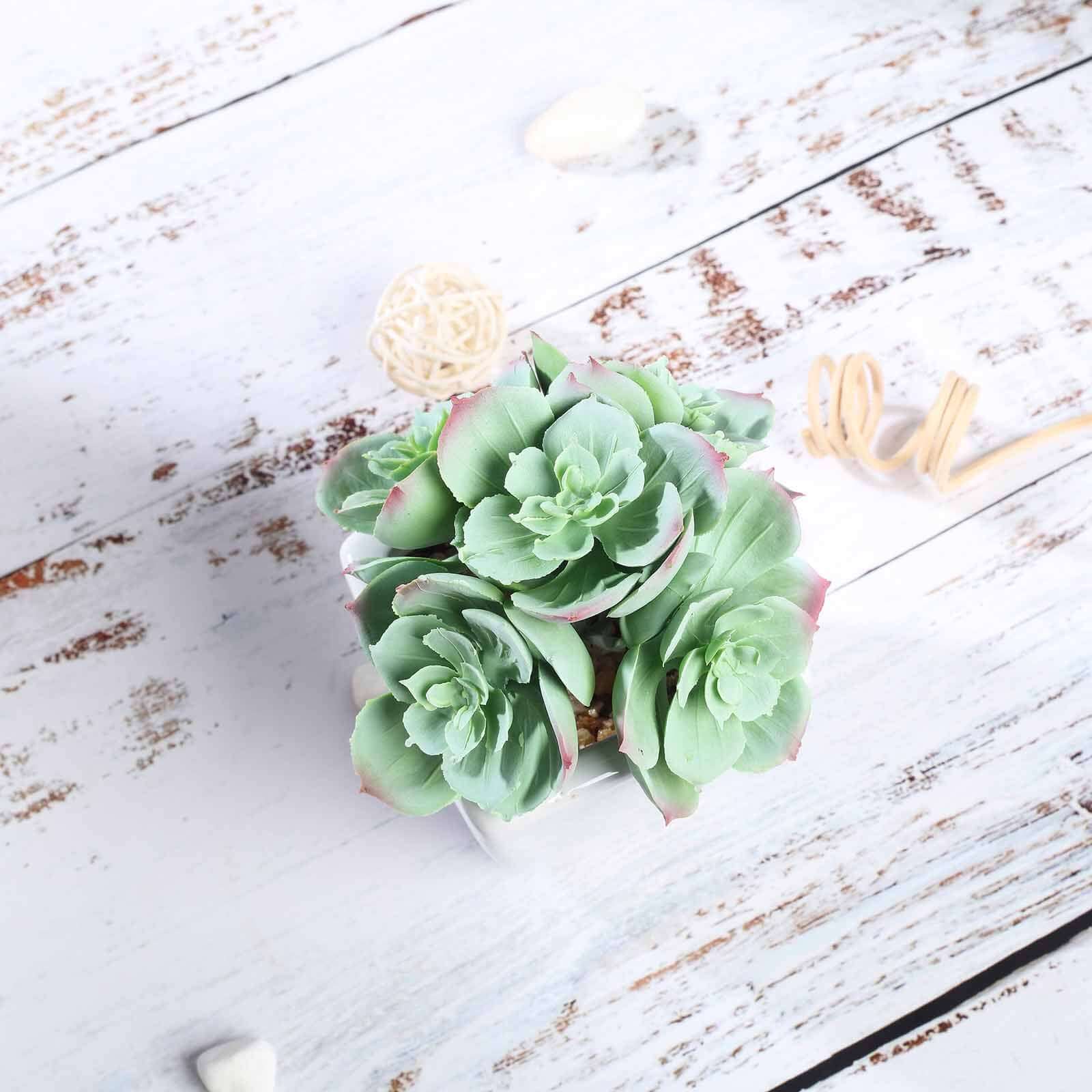 3-Pack Echeveria Elegans Artificial Succulents in Ceramic Pot 5" - Realistic Maintenance-Free Faux Plants for Bathroom Coffee Table Shelves & Desk - Image 8