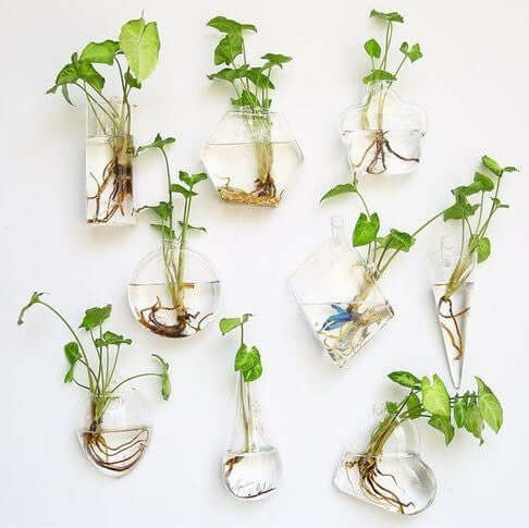 3-Pack Glass Wall Vase Flower Shaped Design Hanging Indoor Planters - Stylish Wall Mounted Terrariums for Home Decor - Image 13